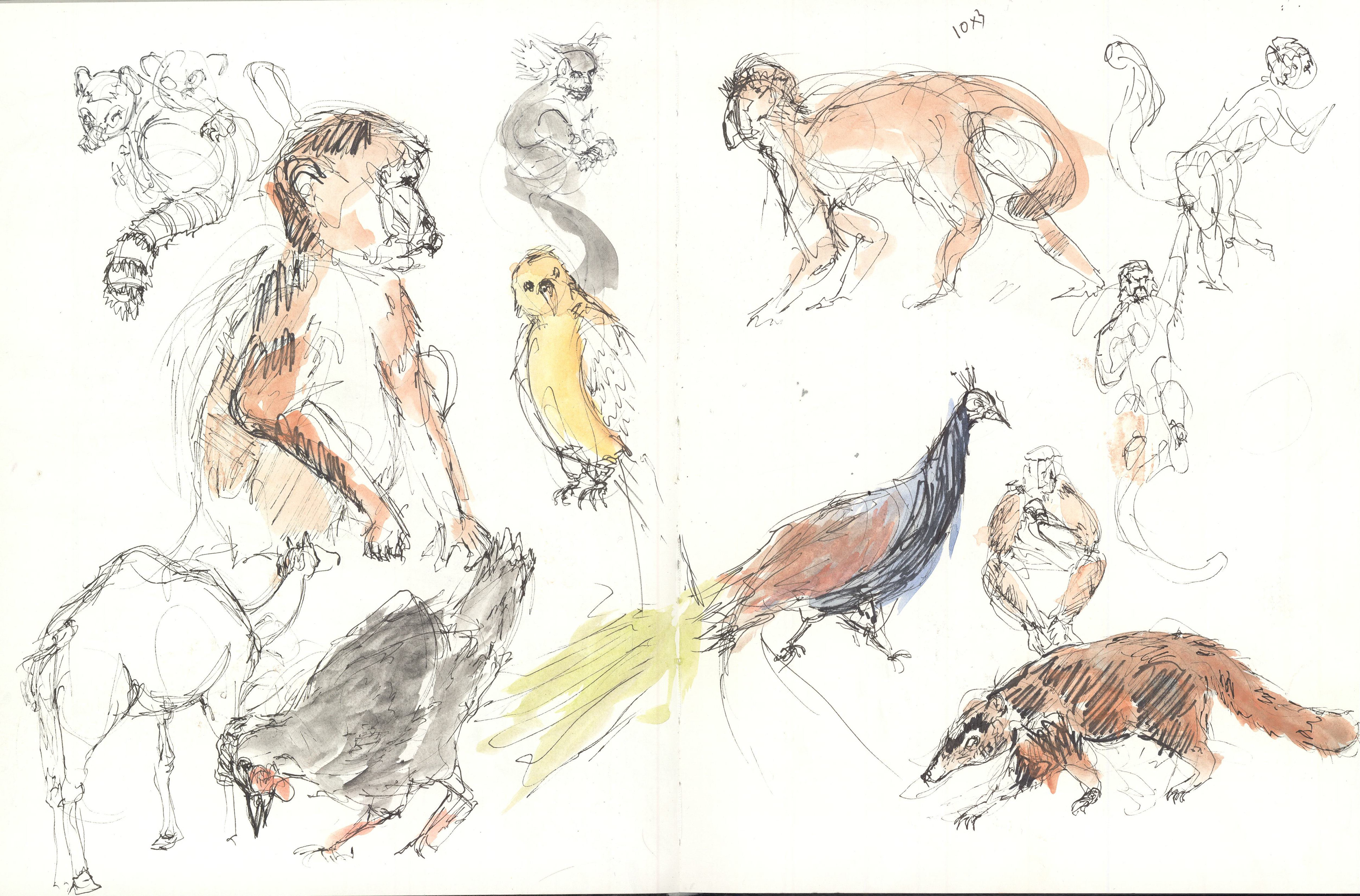 zoo 2 minute gestures