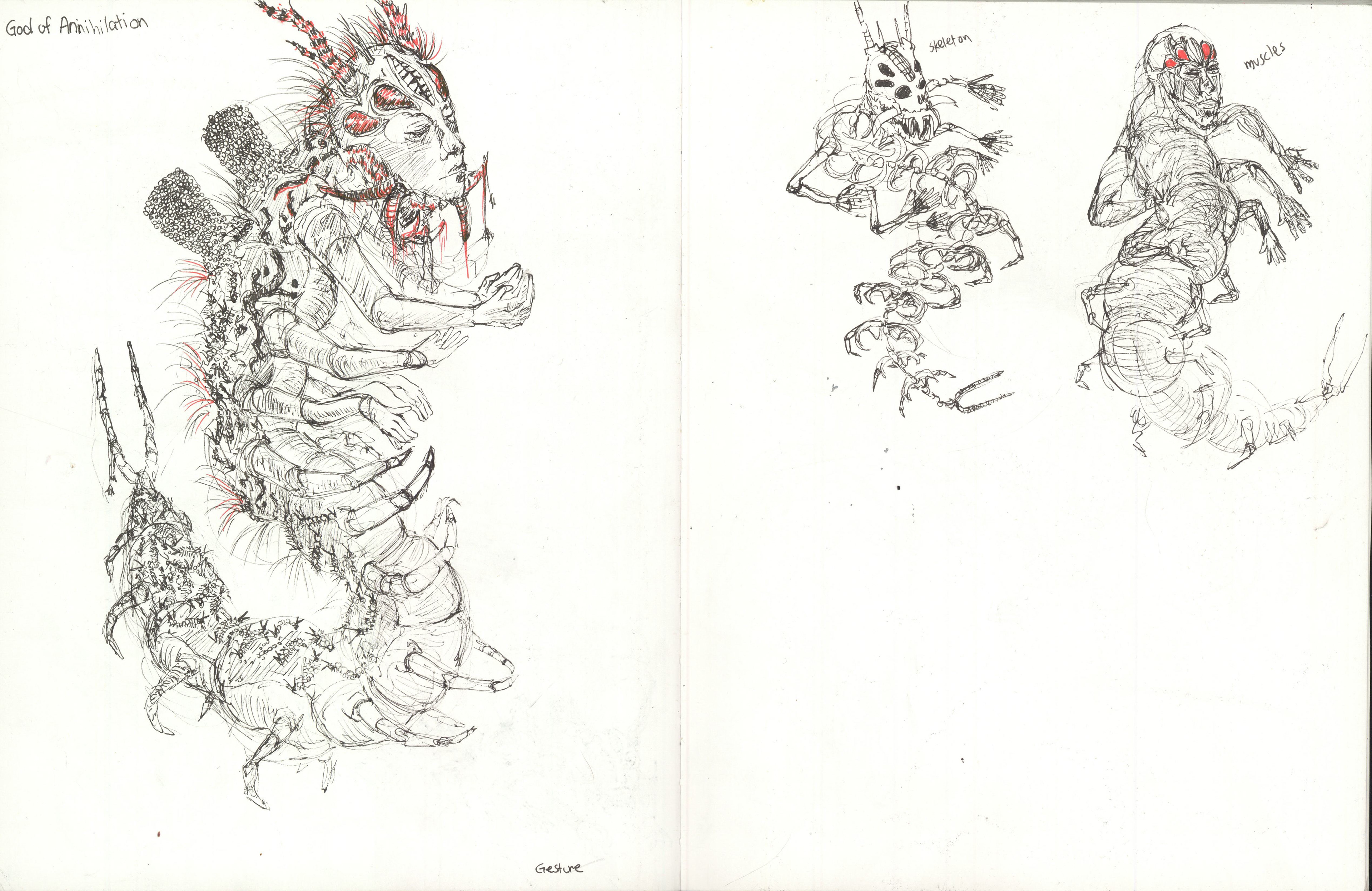 mythical creature anatomy
