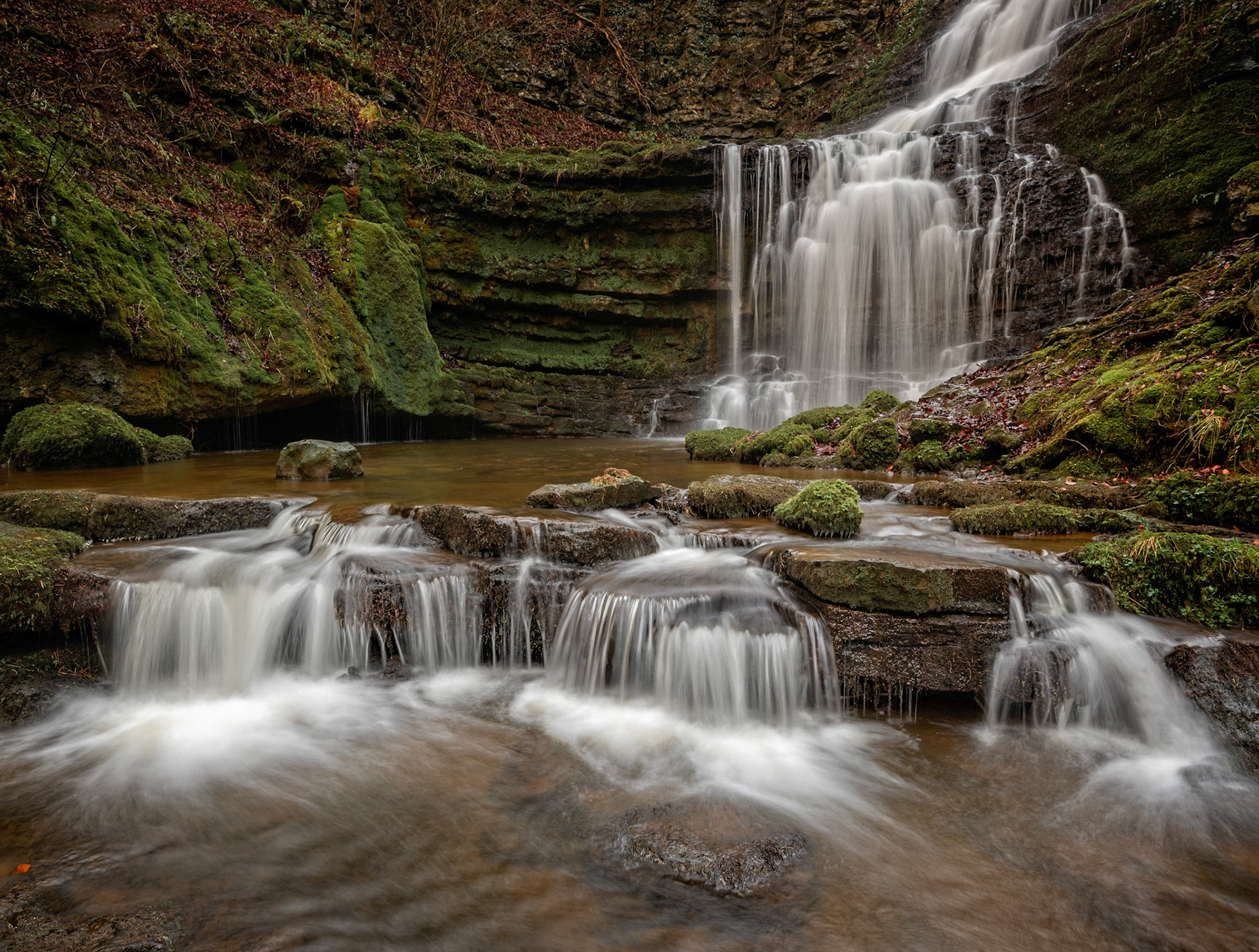 Scaleber Force landscape