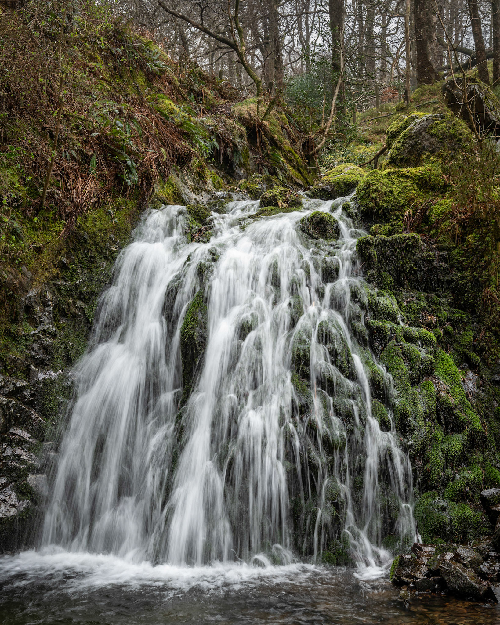 Tom Gill Falls nr Tarn Hows