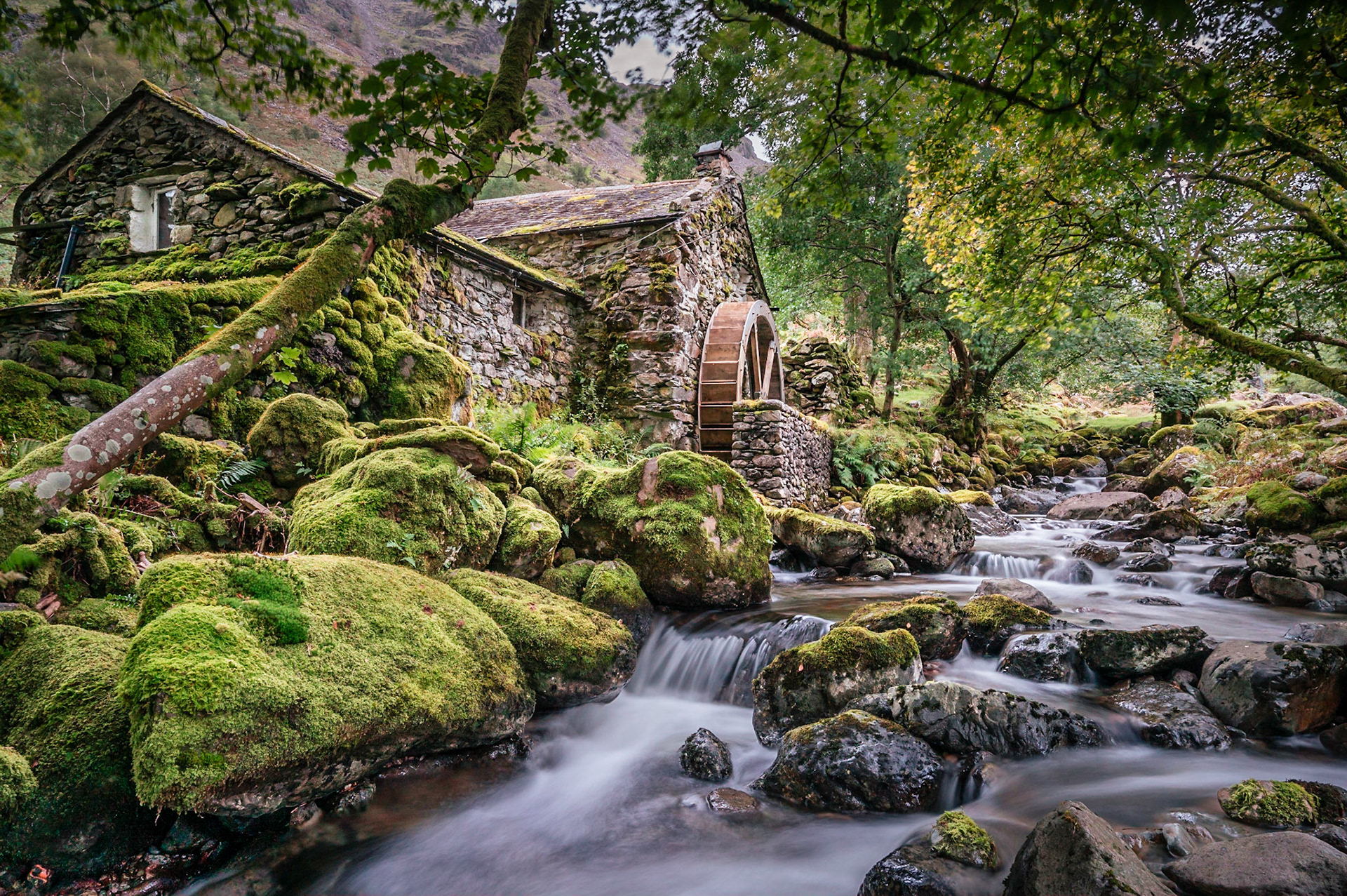 The Old Mill, Borrowdale Nicky Robley