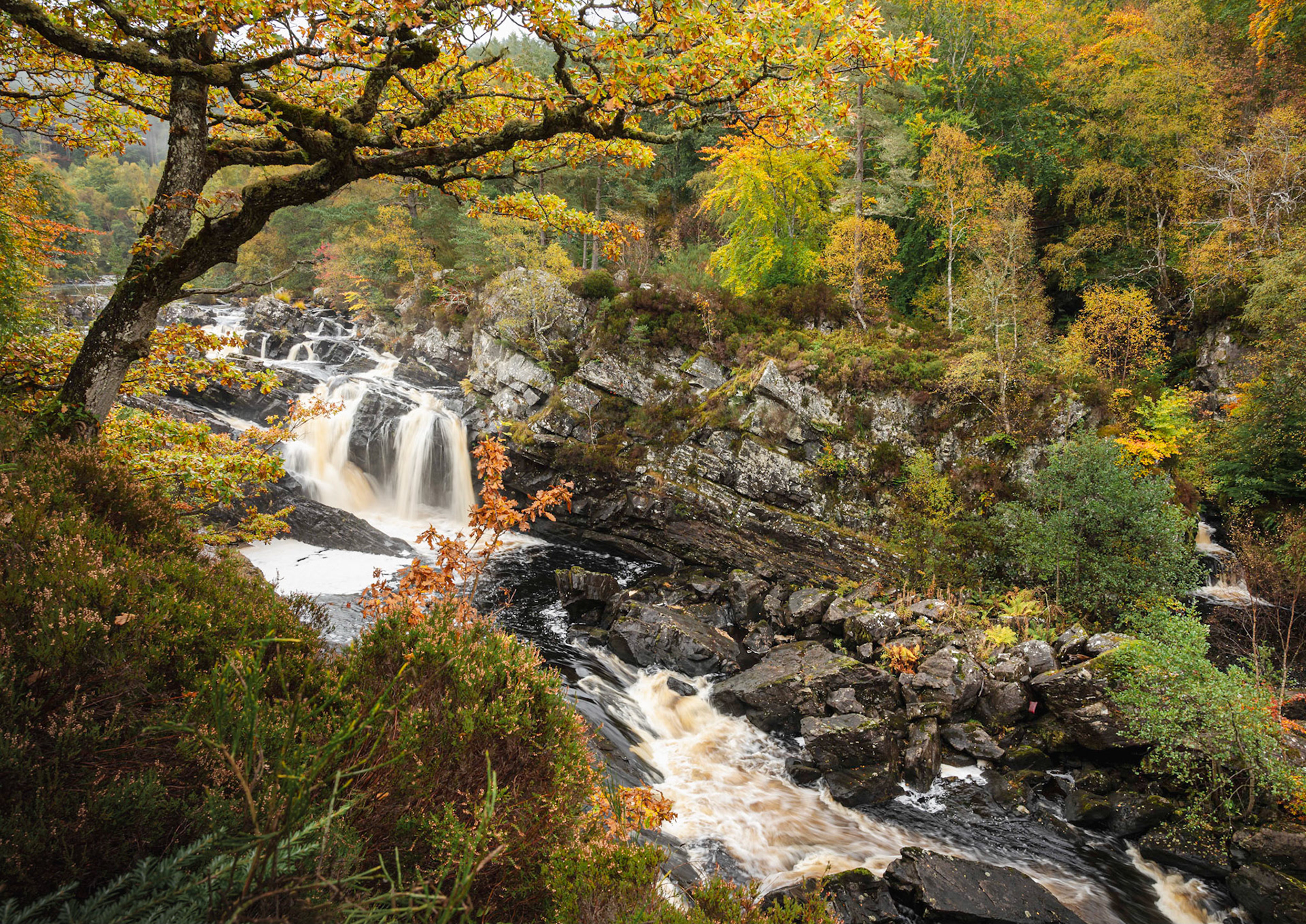 Rogie Falls