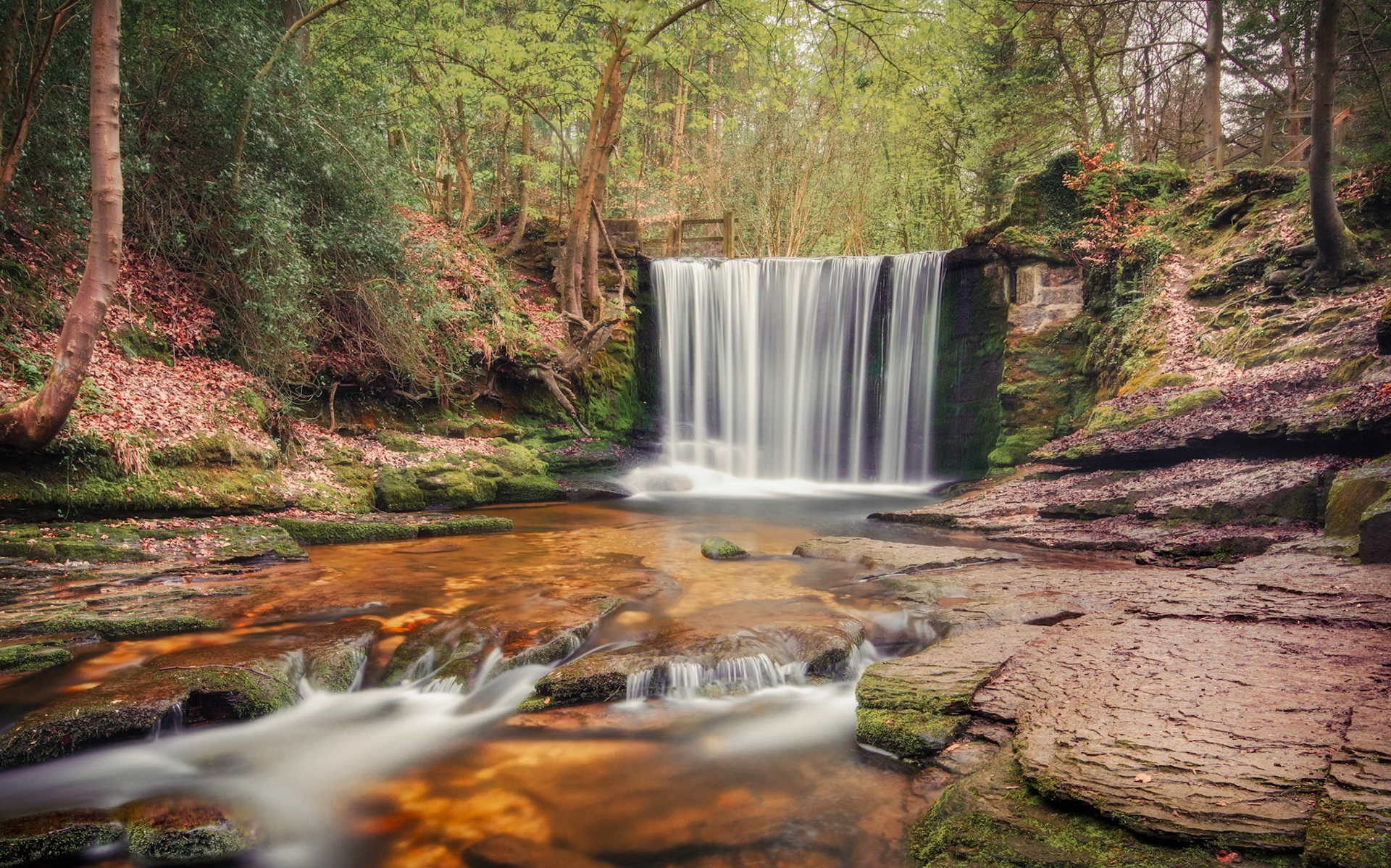 Nant wood weir 2, North Wales