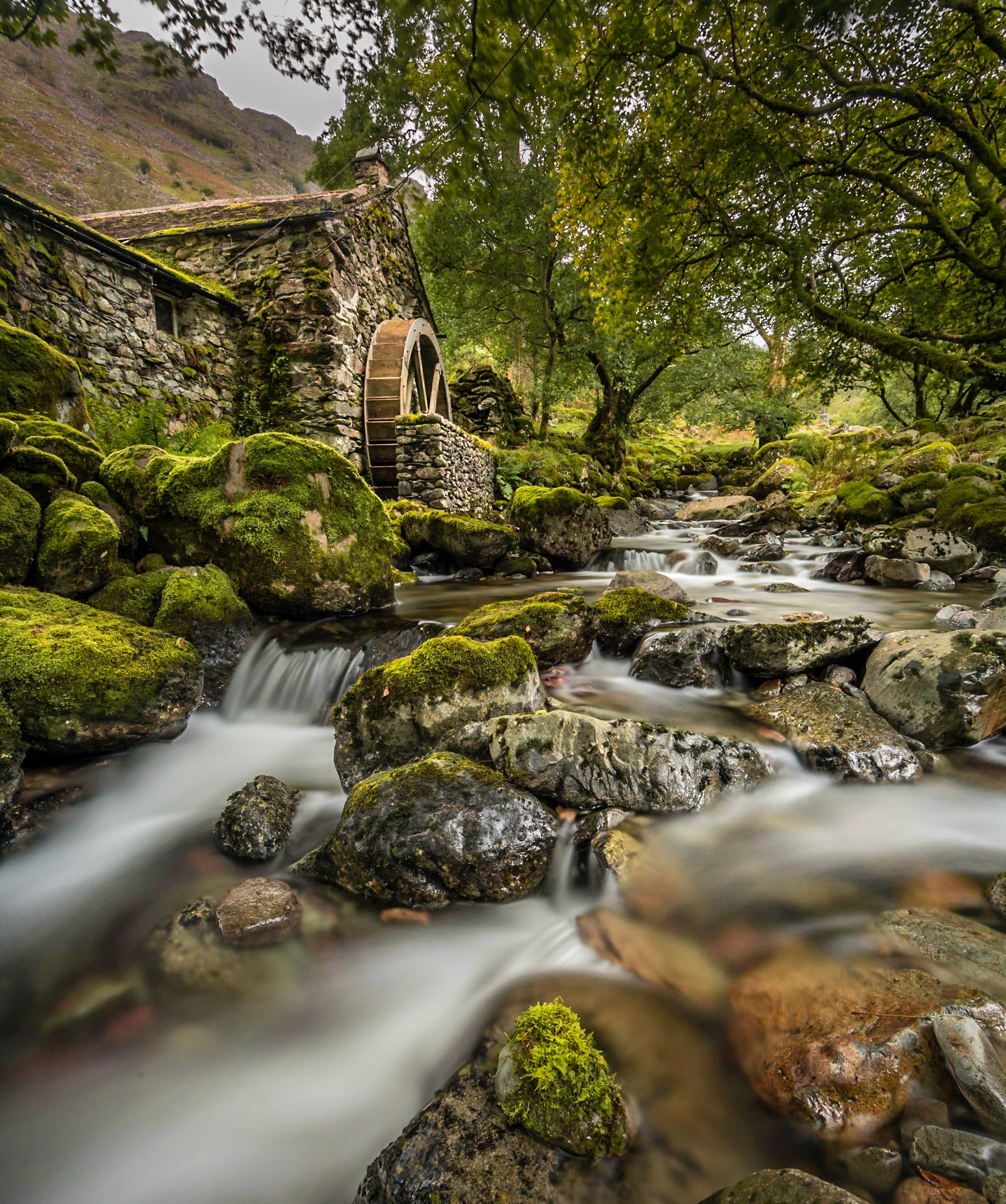 The Old Mill, portrait