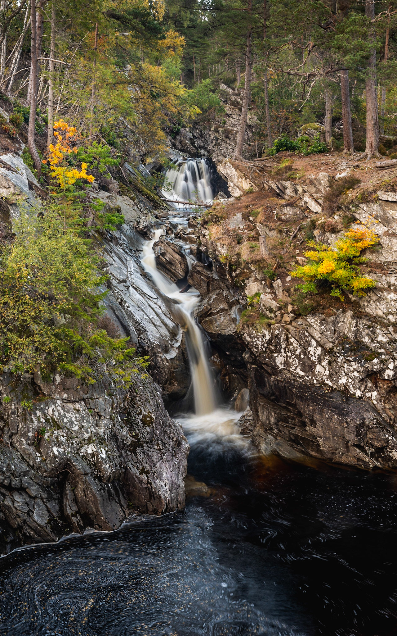 Falls of Bruar, near Blair Atholl 2