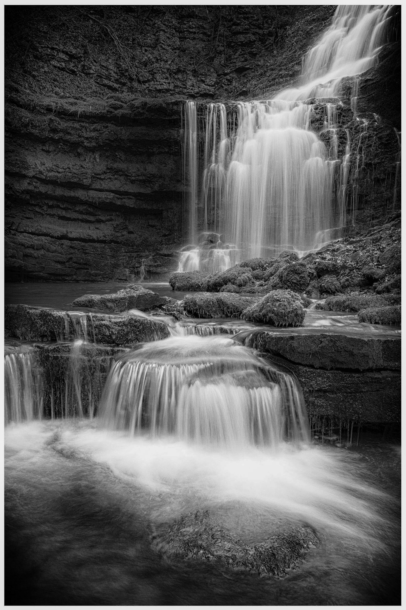 Scaleber Force B&amp;W