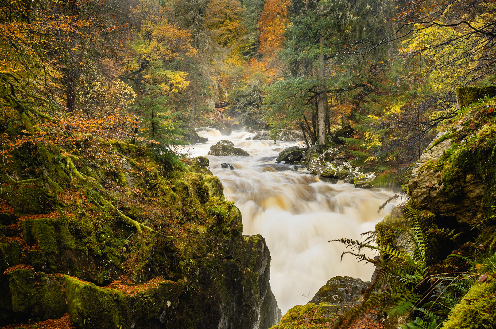 Autumn at Black Linn Falls