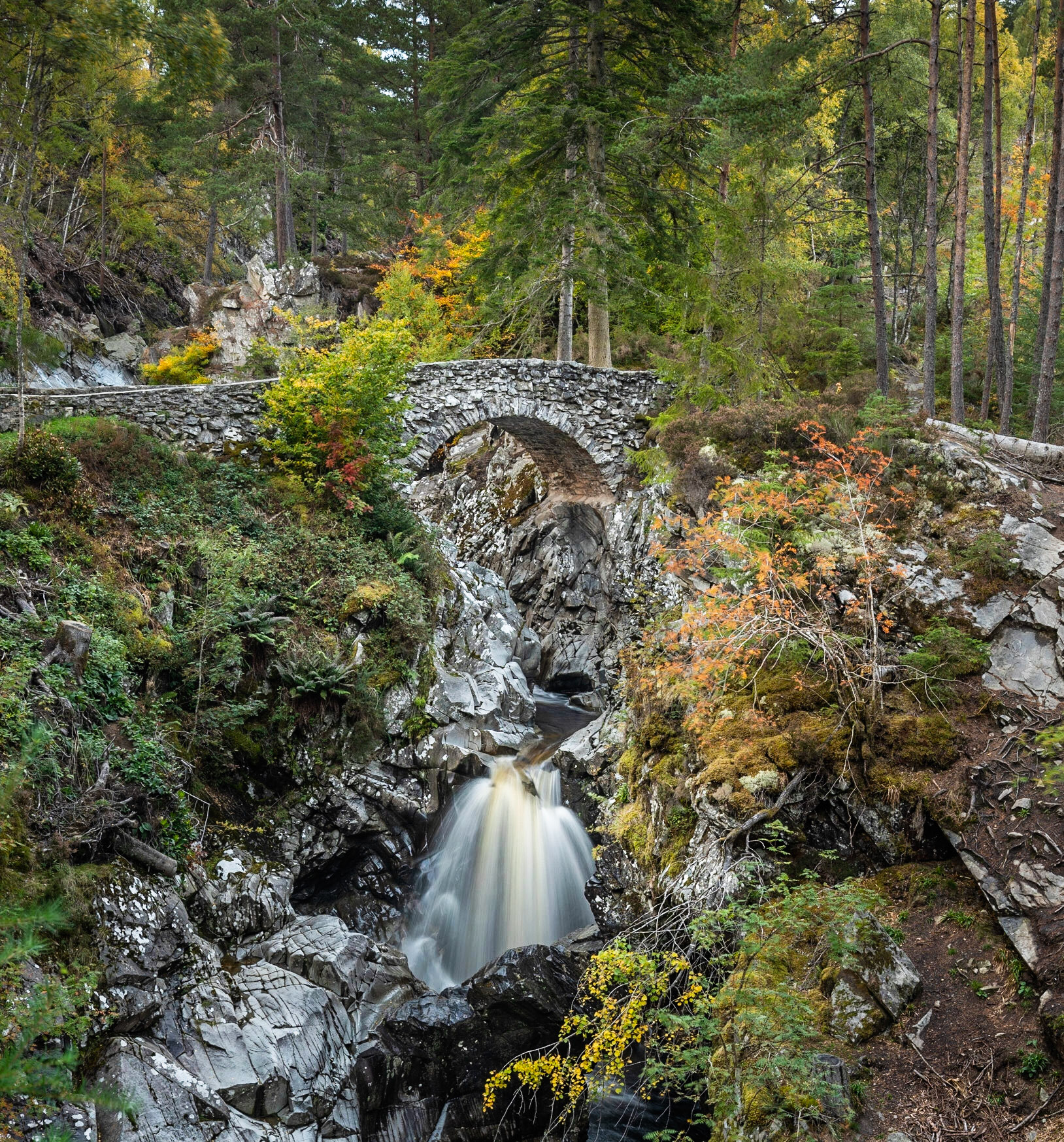 Falls of Bruar, near Blair Atholl