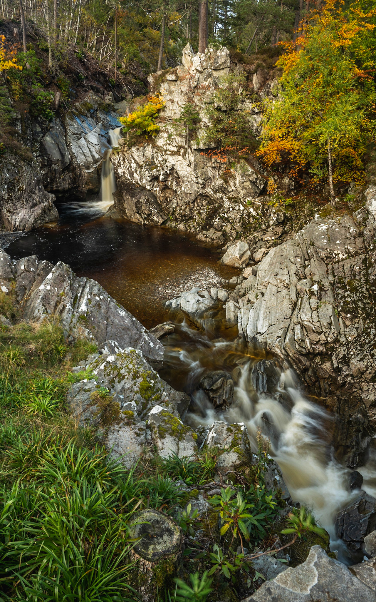 Falls of Bruar, near Blair Atholl 3