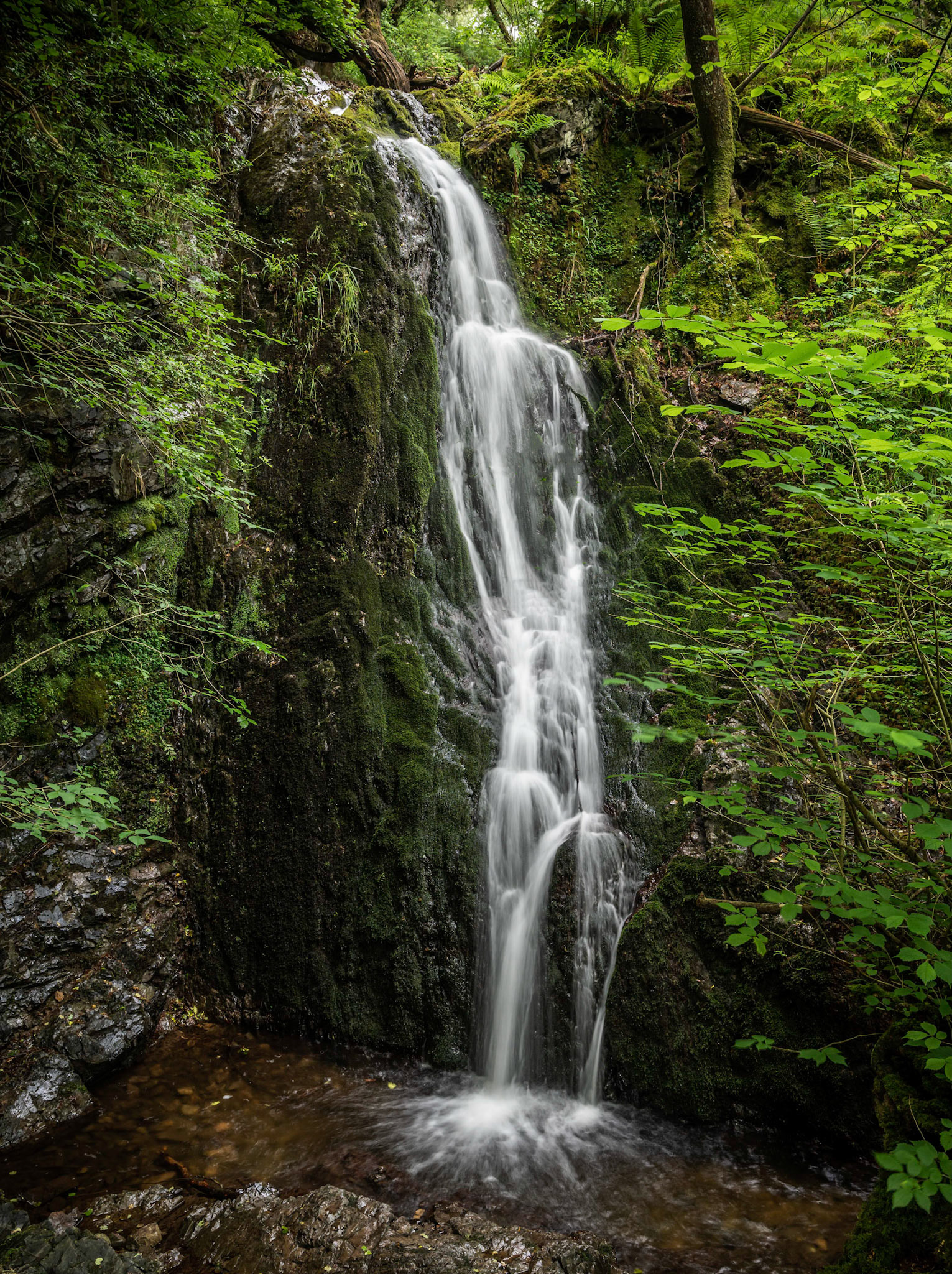 Stock Ghyll Force, nr Tarn Hows