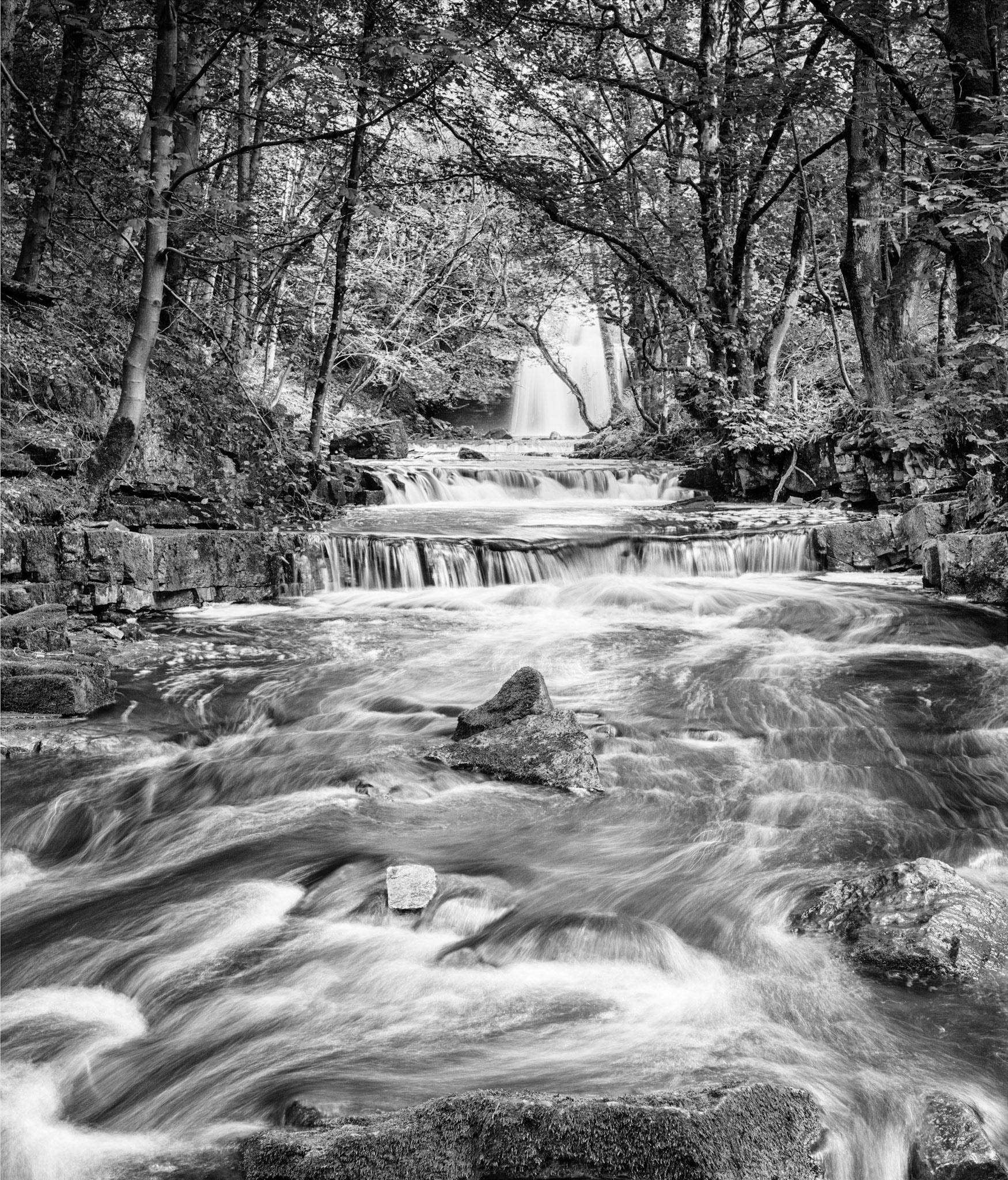 Bow Lee Beck B&amp;W