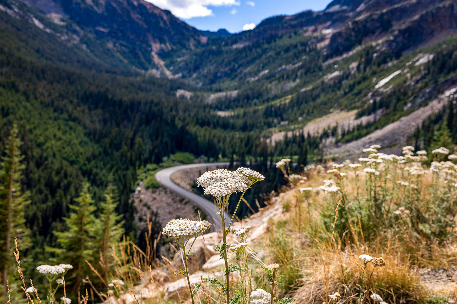 North Cascades, WA