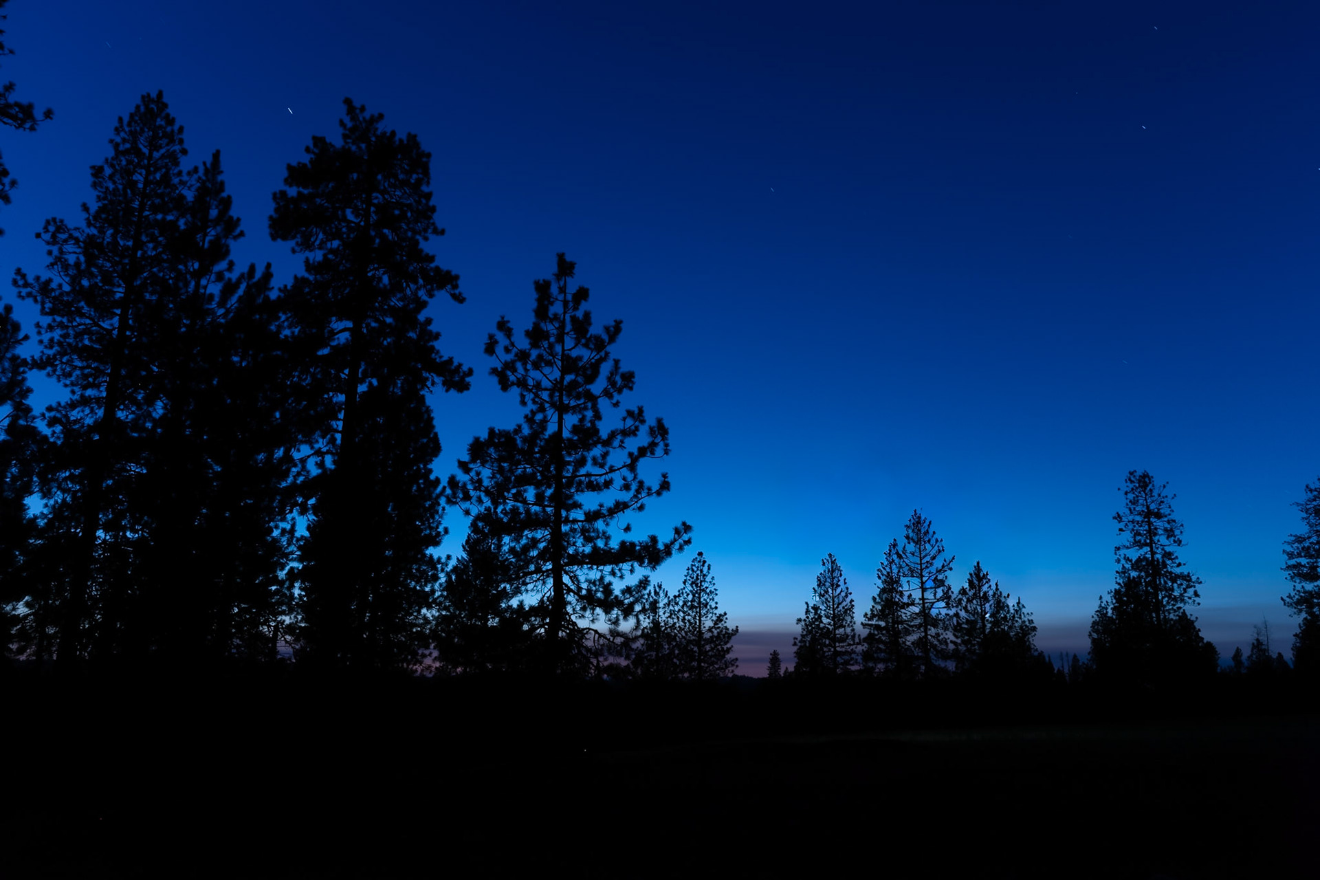 Mt Hood National Forest