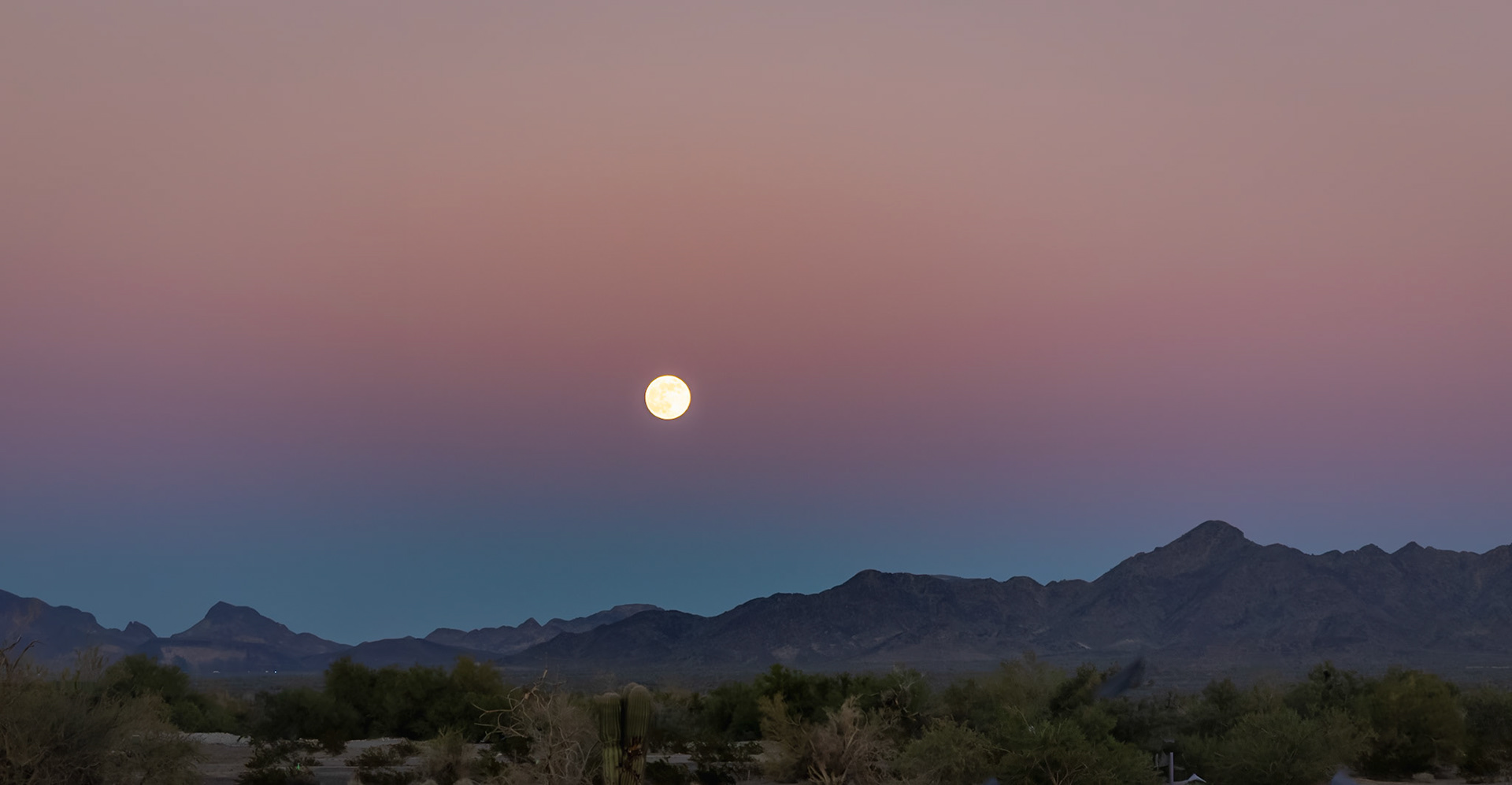 Sonoran Desert, AZ