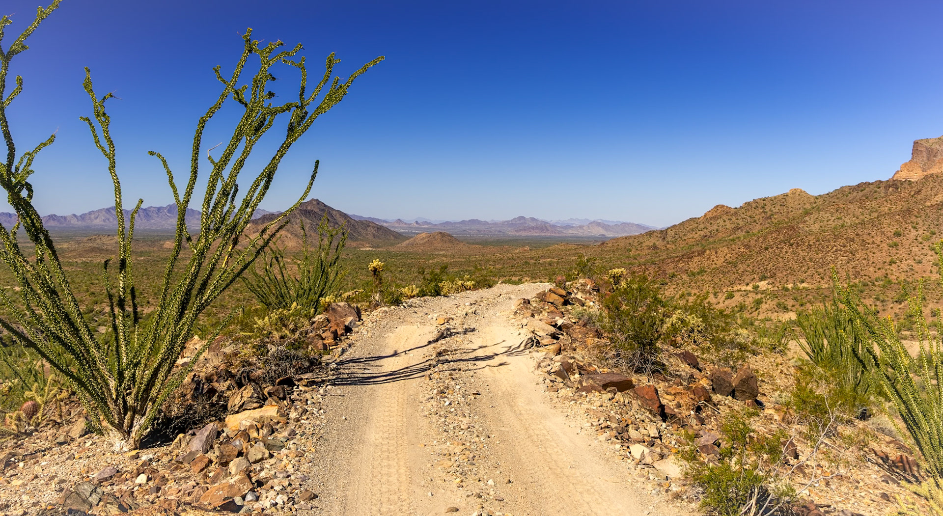 Sonoran Desert, AZ