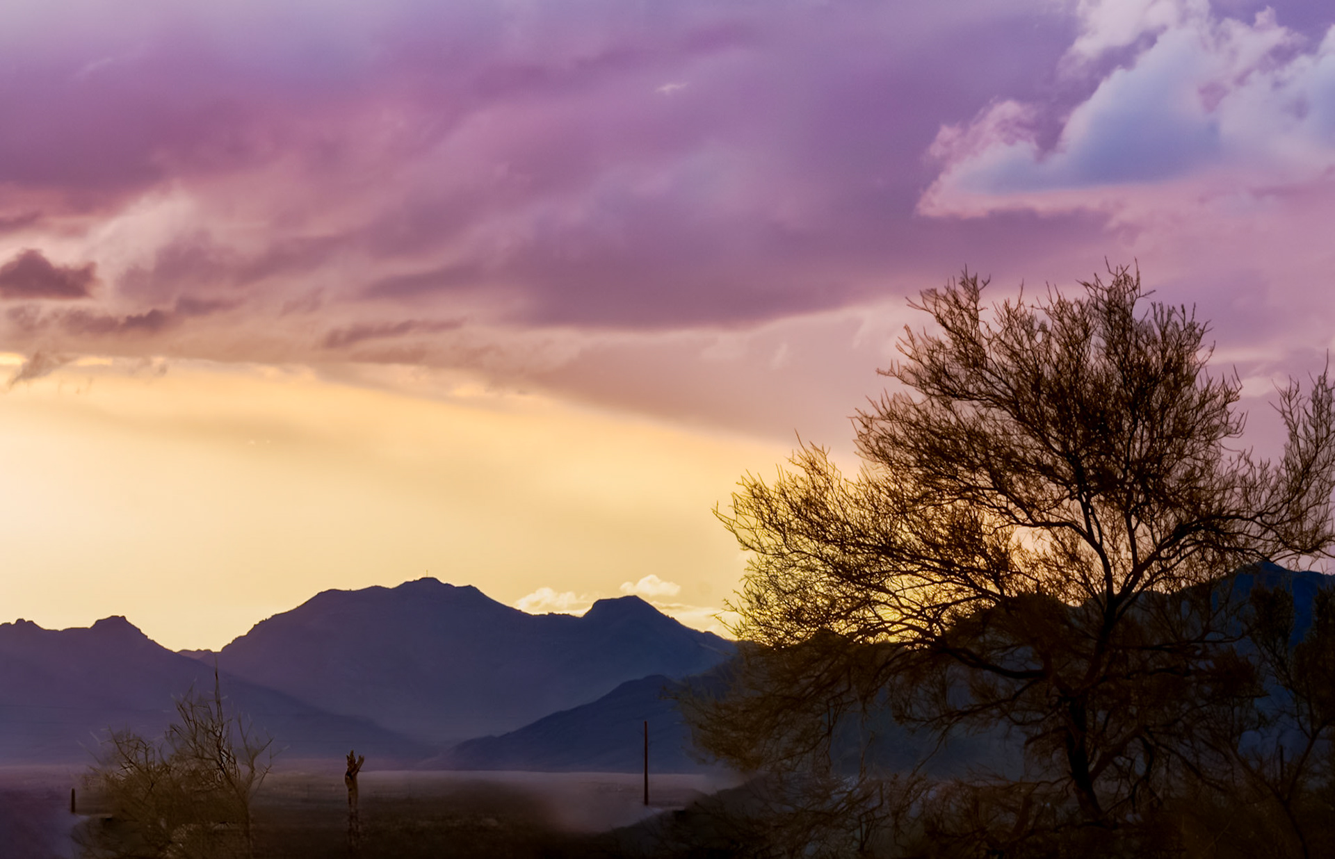 Sonoran Desert, AZ