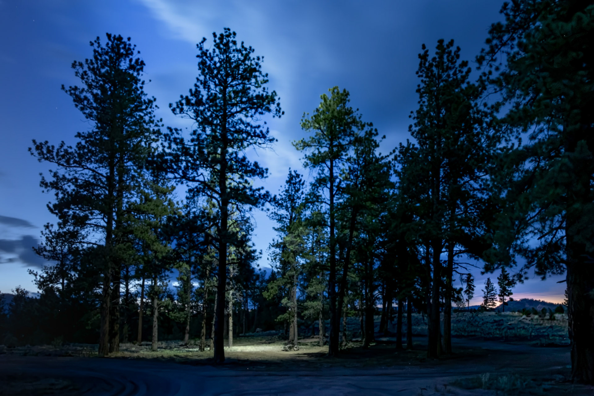 Illuminated Solitude