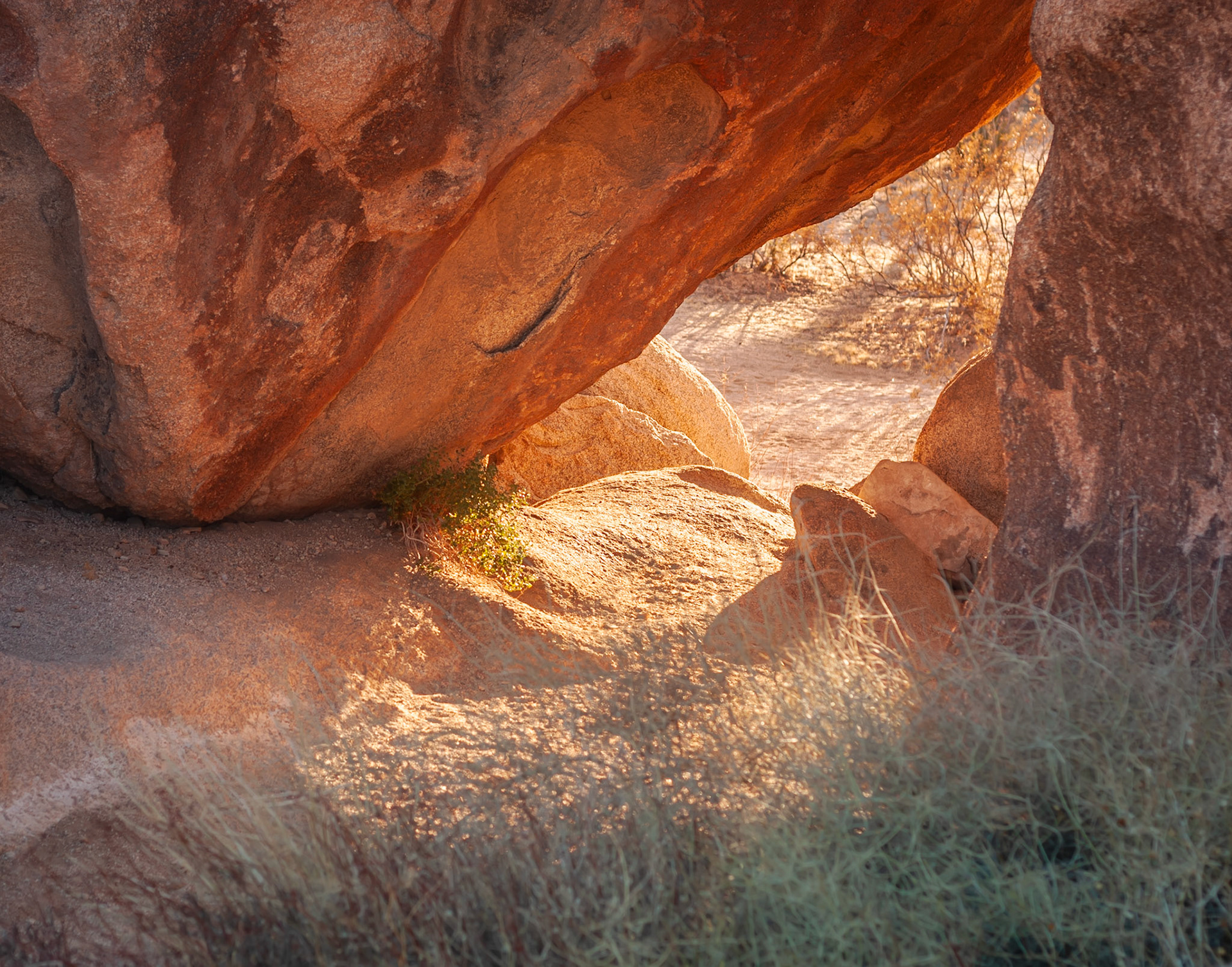 Joshua Tree, CA