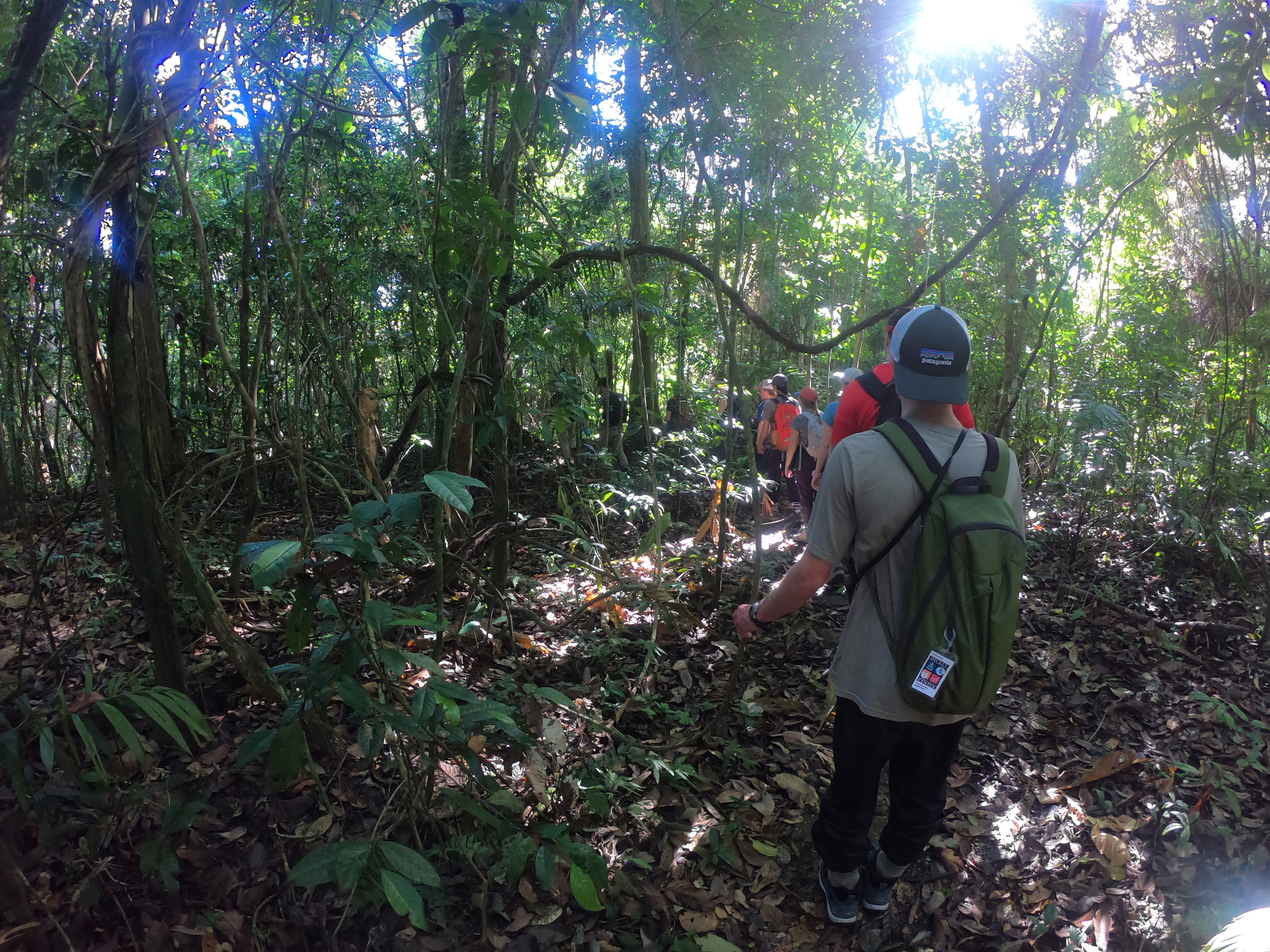 Barro Colorado Island, Panama