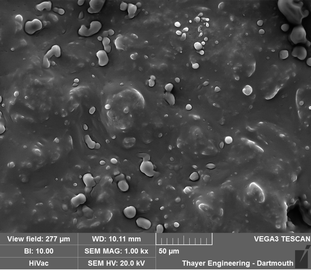 SEM Photo of Almond Milk (1000x Magnification)
