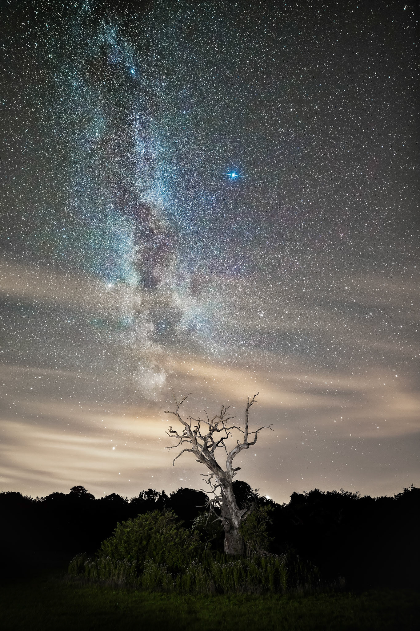 Capturing astroscapes can be tricky. The key is to allow the shutter to remain open long enough that the stars glow, but not so long that they become blurred by the natural movement of the night sky. The full beauty of the stars can not be revealed unless it is a moonless night. The starburst effects on the brightest stars are caused by condensation on the lens due to the rapid drop in temperature. I deliberately placed myself so that the dead tree seemed to be reaching up into the cosmos; though it did need a little light painting to make that weathered wood stand out.