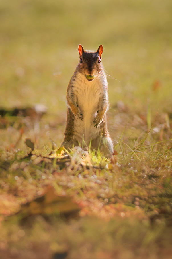 Collecting for Winter