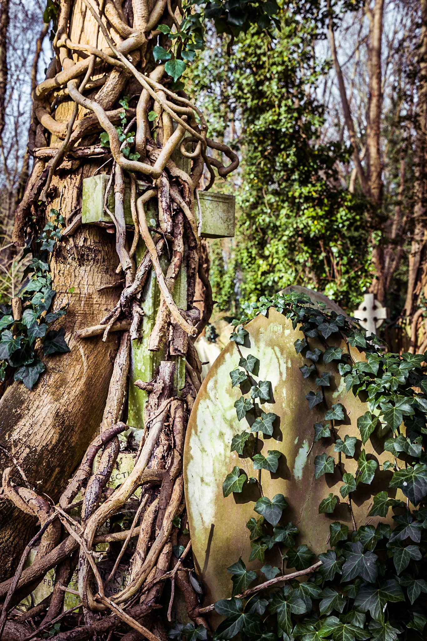Whilst conducting one of my research sessions I came across a fascinating place called "Highgate Cemetery", which a lot of you are probably aware of.  An absolutely fascinating place which I think I will be returning to.  I didn't come away with the shot I wanted as it is on the other side I believe so I suspect I'll be making a return visit.  I think we can all agree that this isn't what I would normally shoot, and I think that is the biggest benefit of this challenge, that it is expanding my horizons.