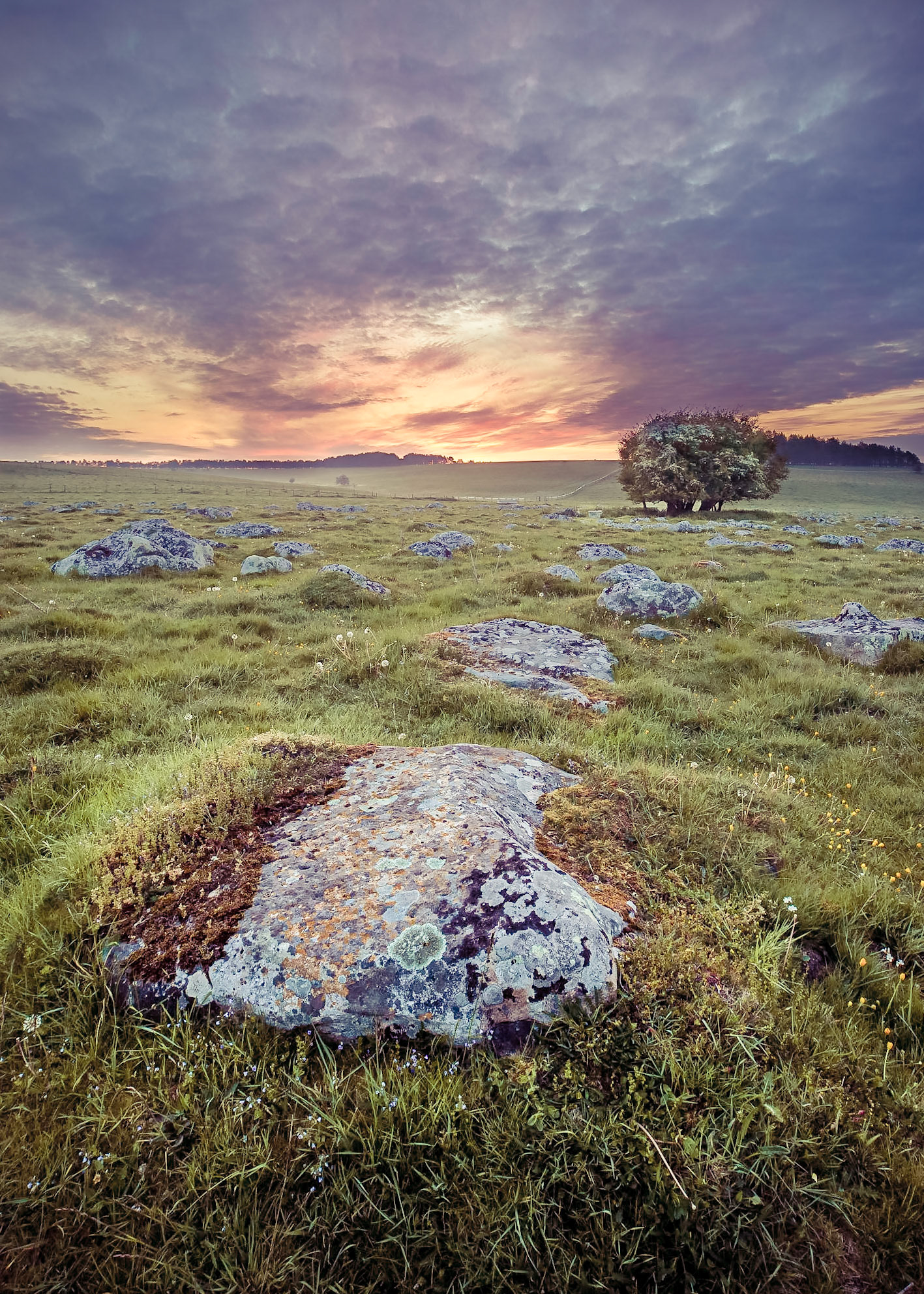 Its been a long time since I've managed to drag myself out for a sunrise and after a recent outing with Hungerford Camera Club where we visited Fyfield Down again and the weather didn't work out, I felt inspired to try a sunrise.