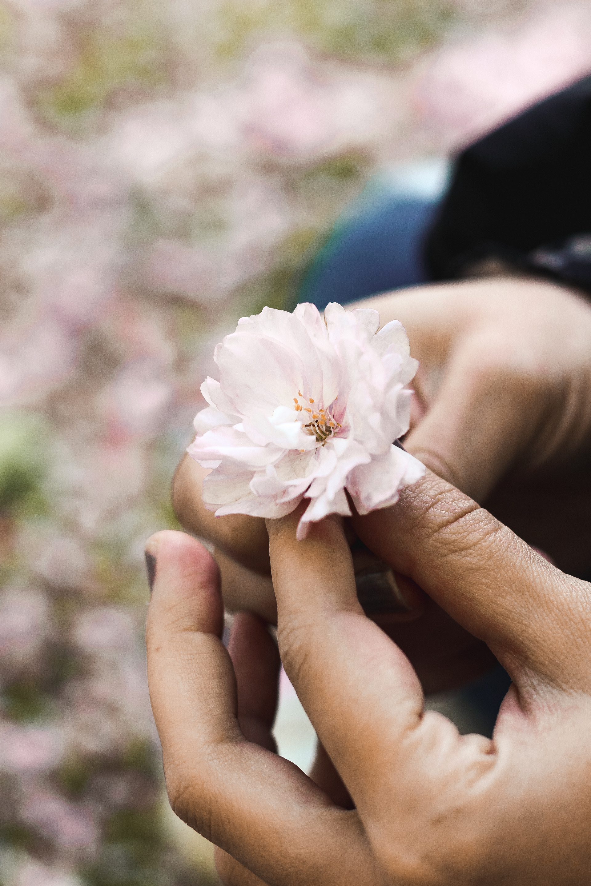 photo shot on CanonEOS 100D - 50mm