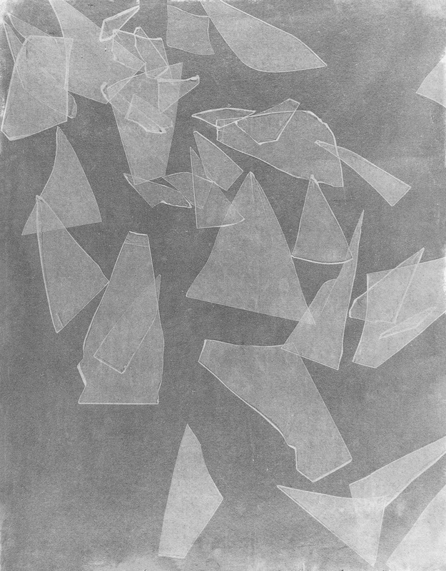 Gum printing on canvas, 62x80 cm