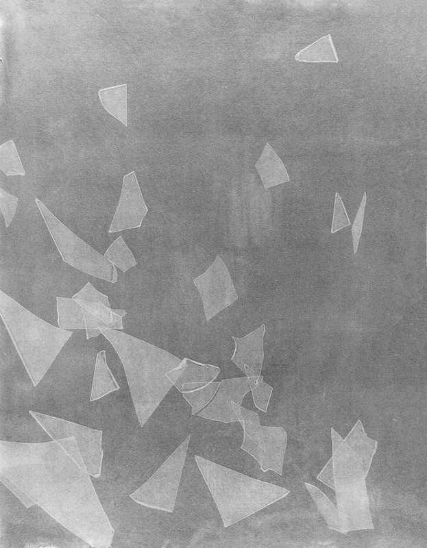 Gum printing on canvas, 62x80 cm