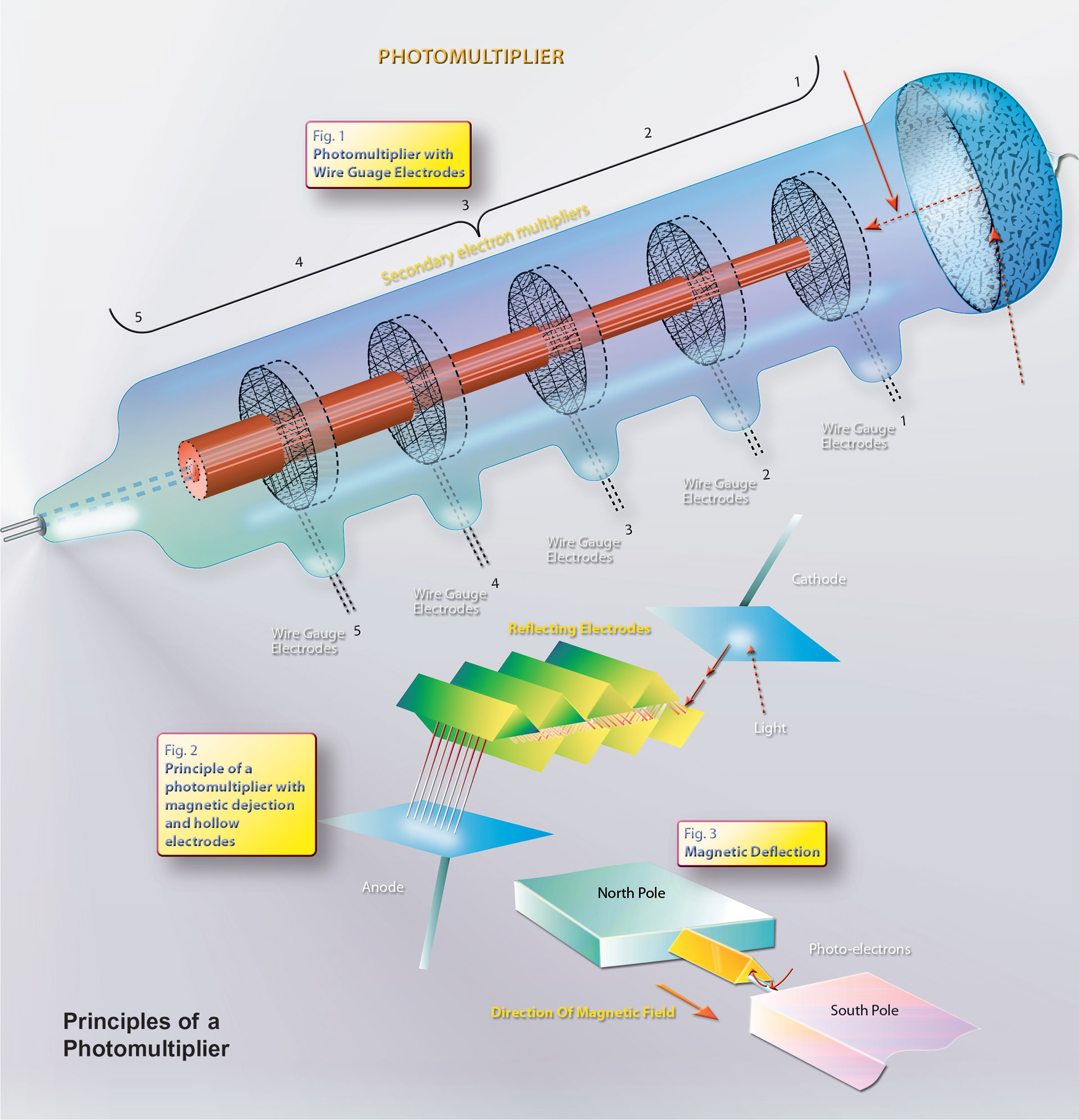 Portfolio piece, photomultiplier vector illustration