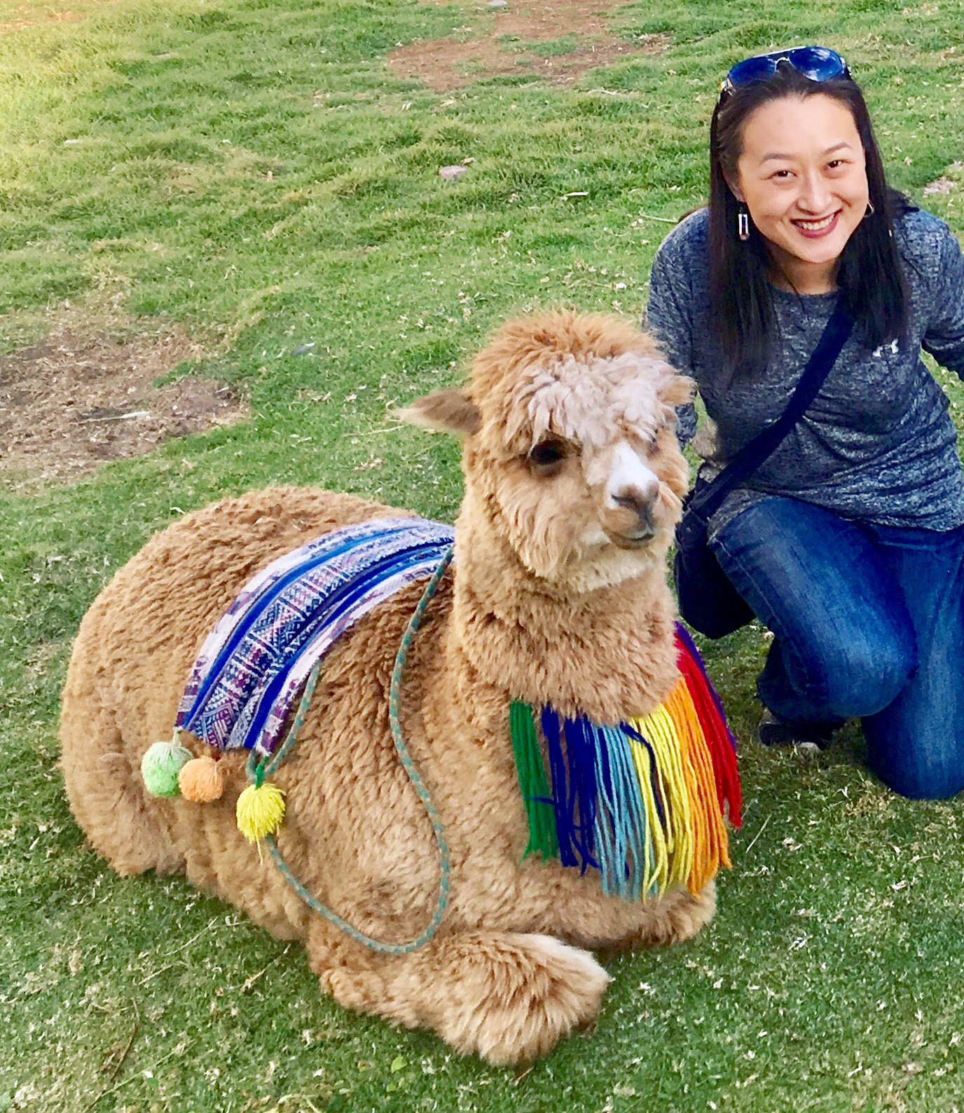 Cusco, Peru—I LOVE alpacas!