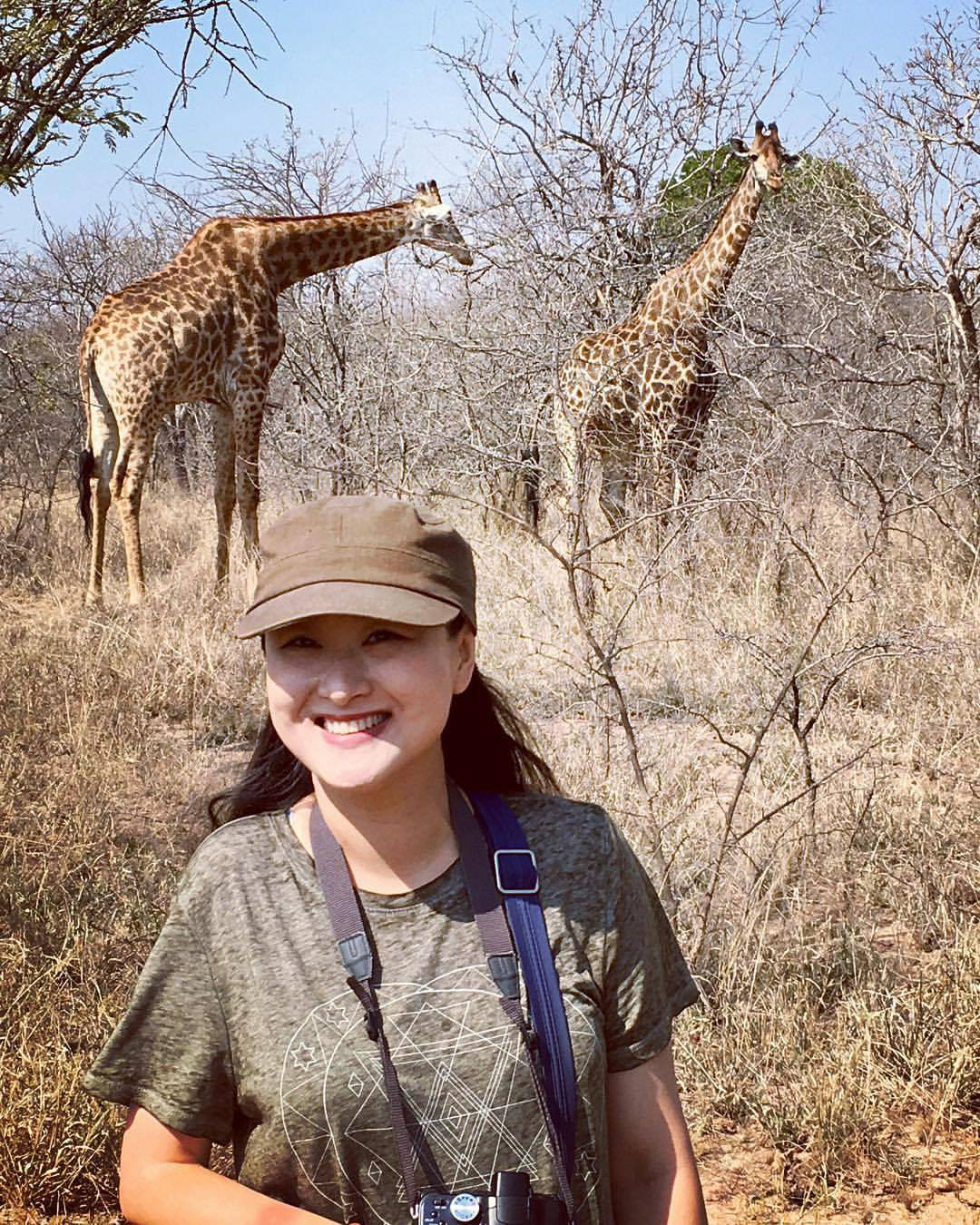 bush walking with giraffes