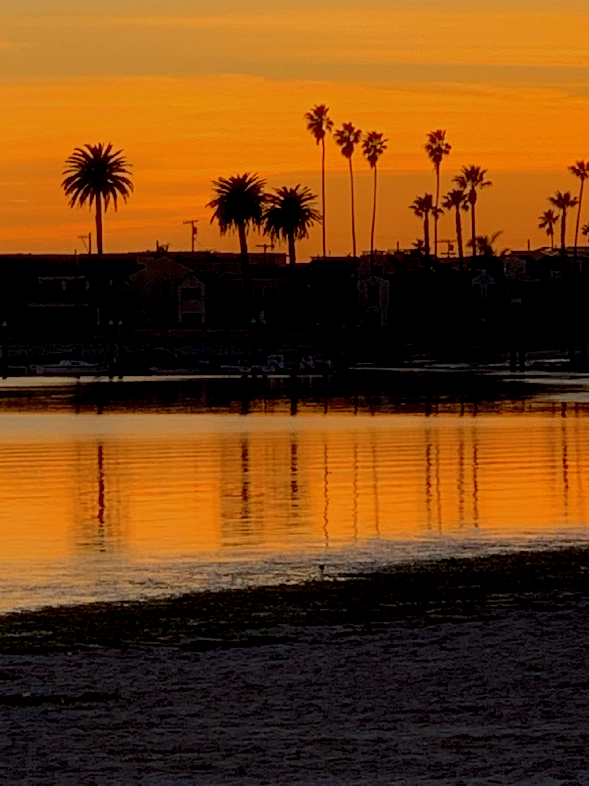 Pacific Beach, Ca