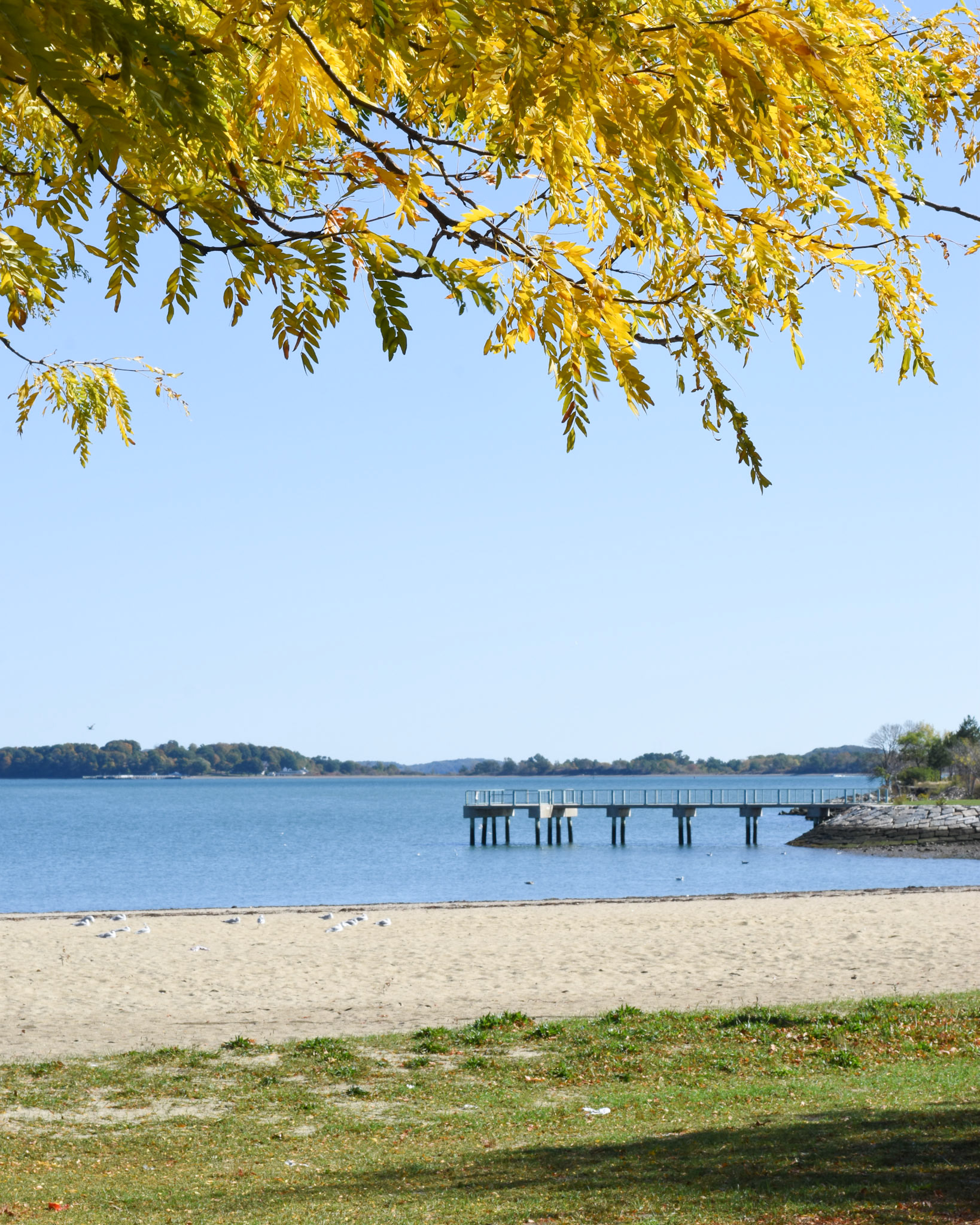 Carson Beach