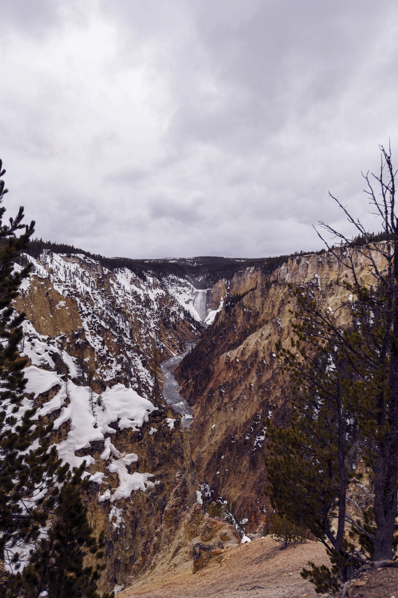 Artists Point (Yellowstone National Park)