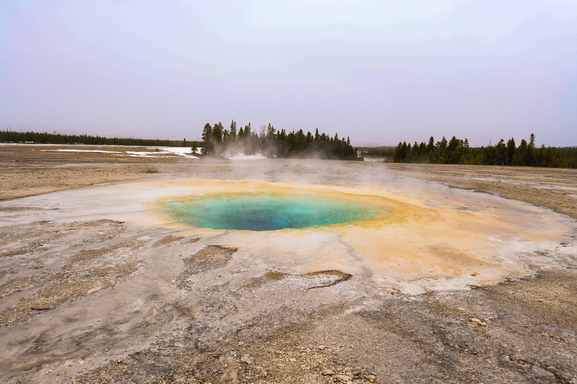 Grand Prismatic Spring (Yellowstone National Park)