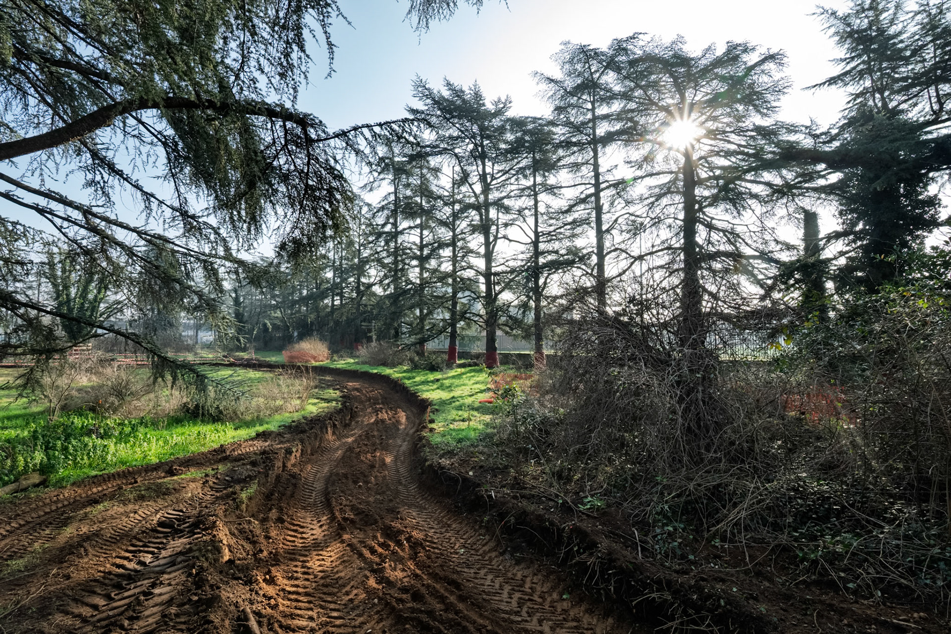 Parc aux Hérissons