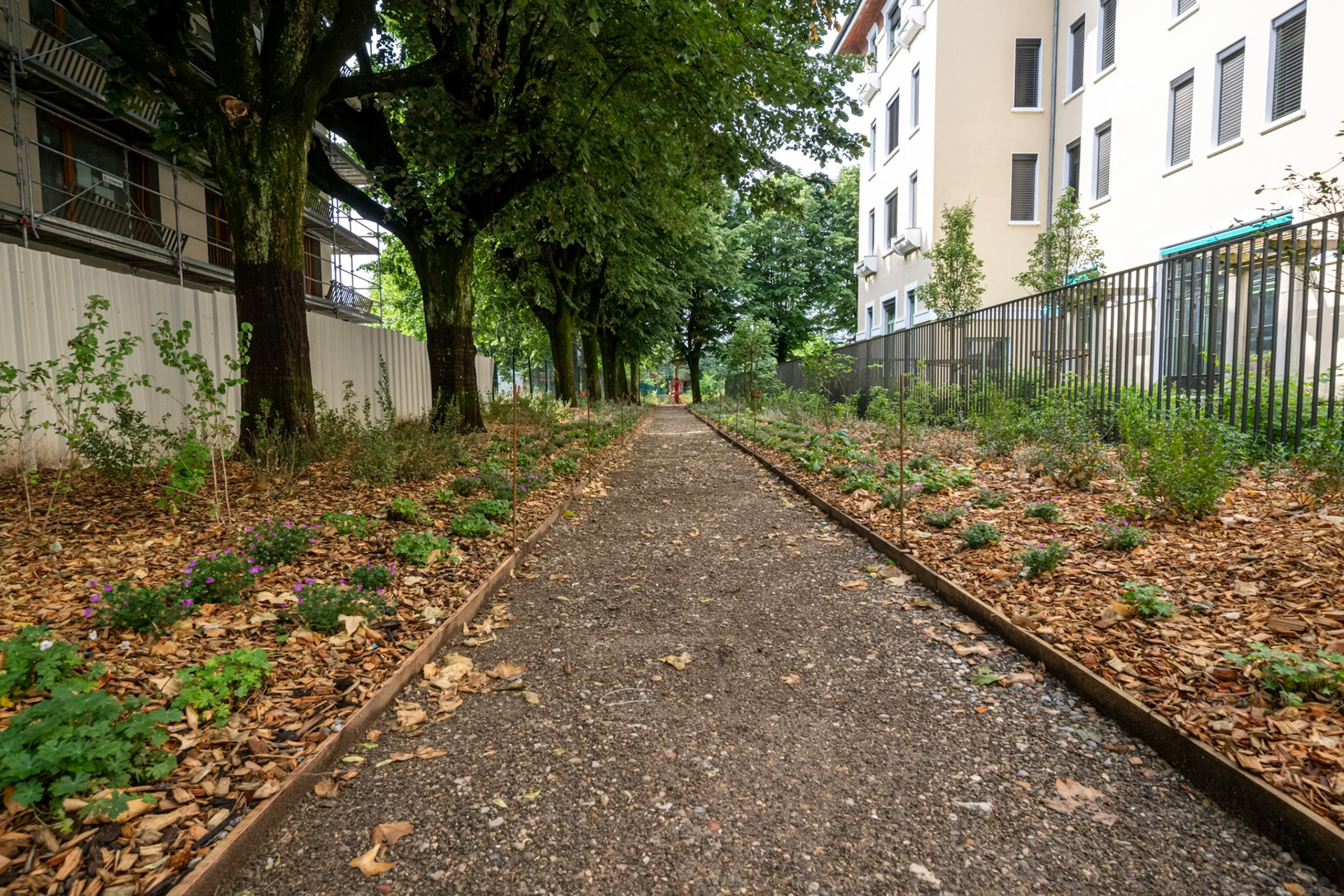 Parc aux Hérissons
