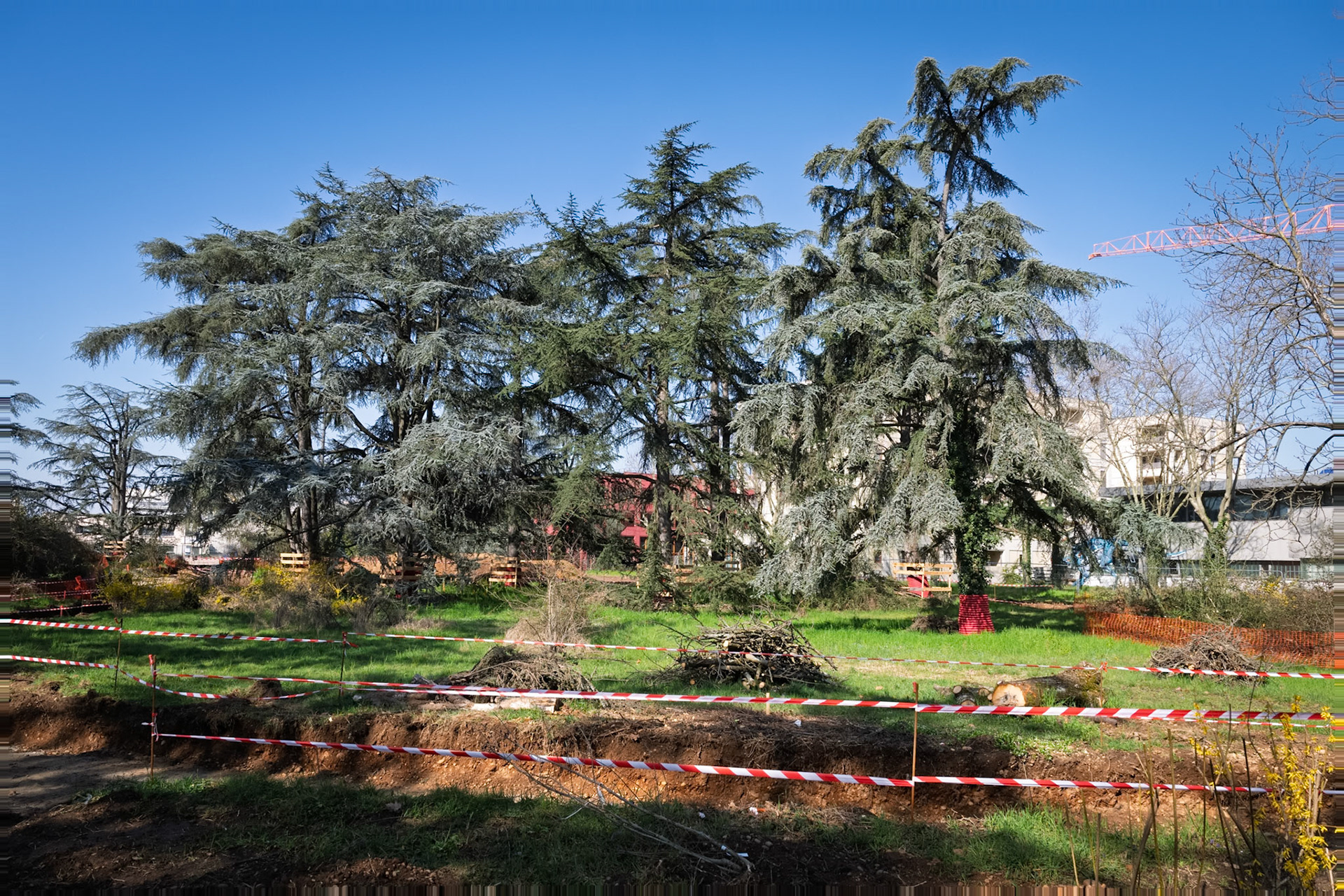 Parc aux Hérissons