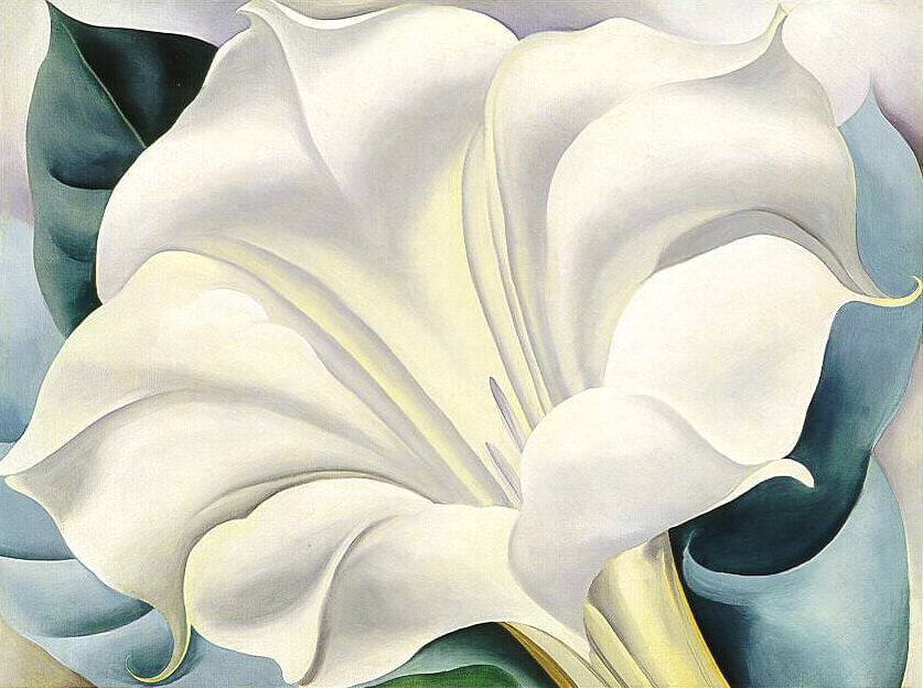Studies on Flowers by Georgia O´Keeffe