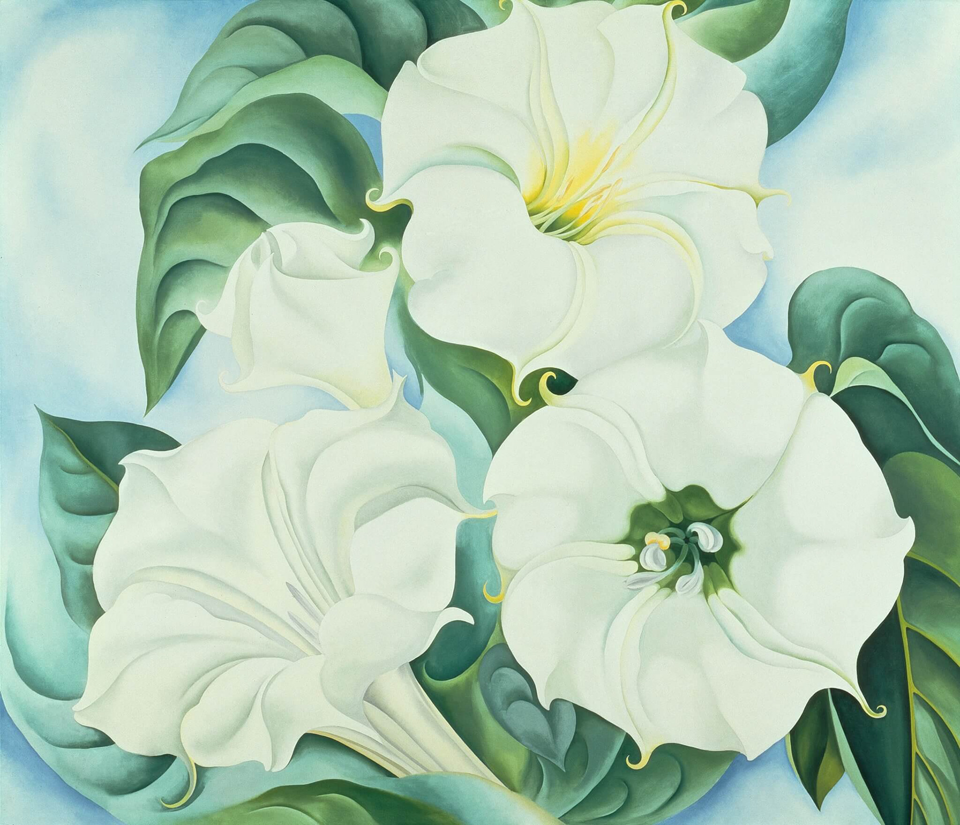 Studies on Flowers by Georgia O´Keeffe