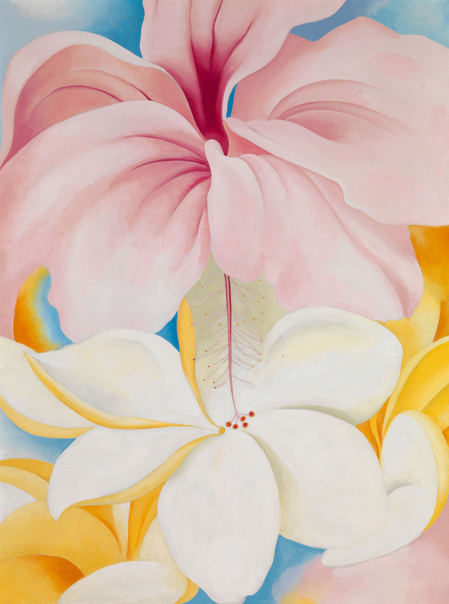 Studies on Flowers by Georgia O´Keeffe