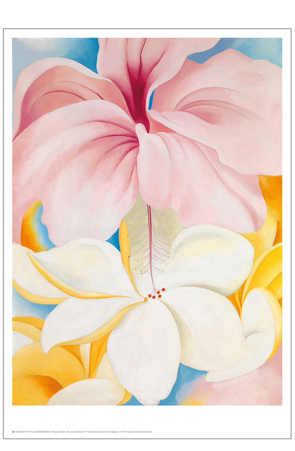 Studies on Flowers by Georgia O´Keeffe