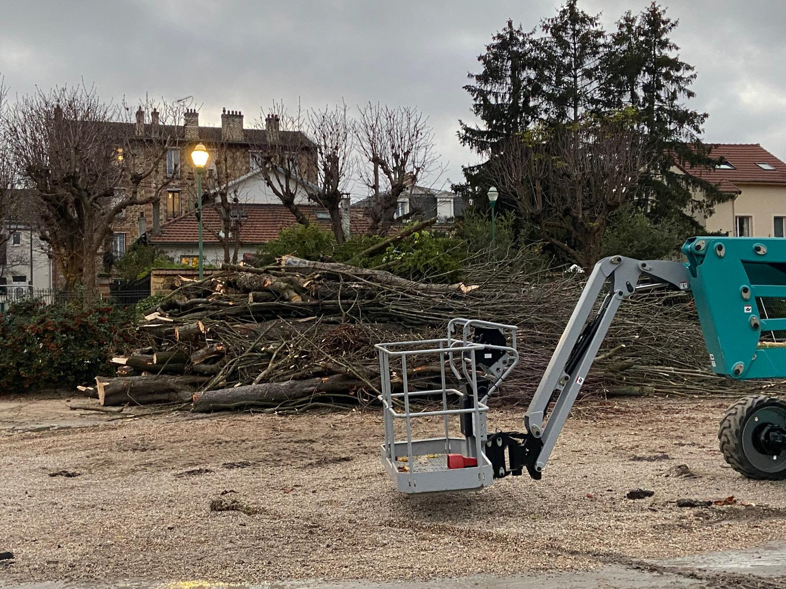 Images des arbres abattus dans le parc Charles de Gaulle à Houilles