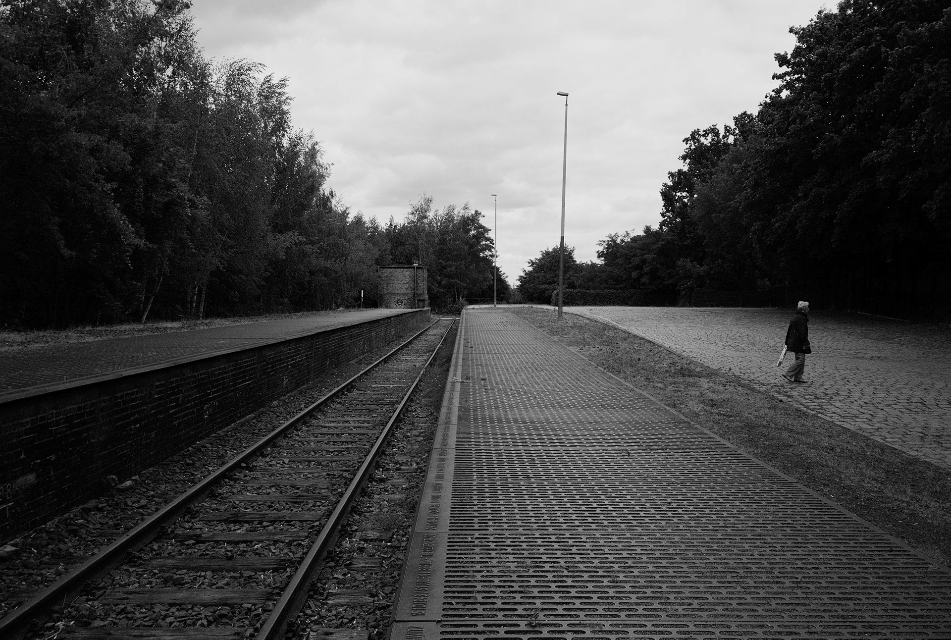 On November 27, 1941, a train carrying Hedwig and 1052 other people left this platform for Riga. The train stops on the outskirts of Riga. Pits are to be dug here in Rumbula Forest. All 1053 passengers on the train must undress, climb into the dug pits and lie face down on the dead bodies below them. They are shot from behind.