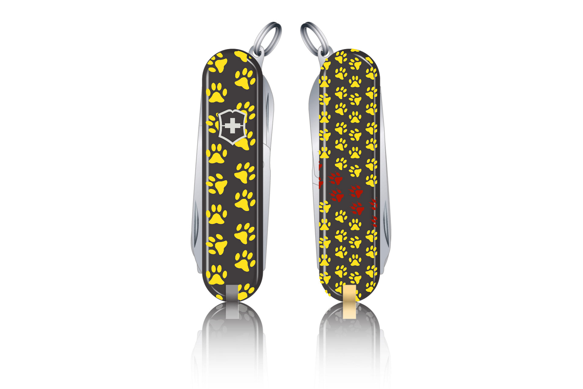 Your Swiss Army Knife 2021