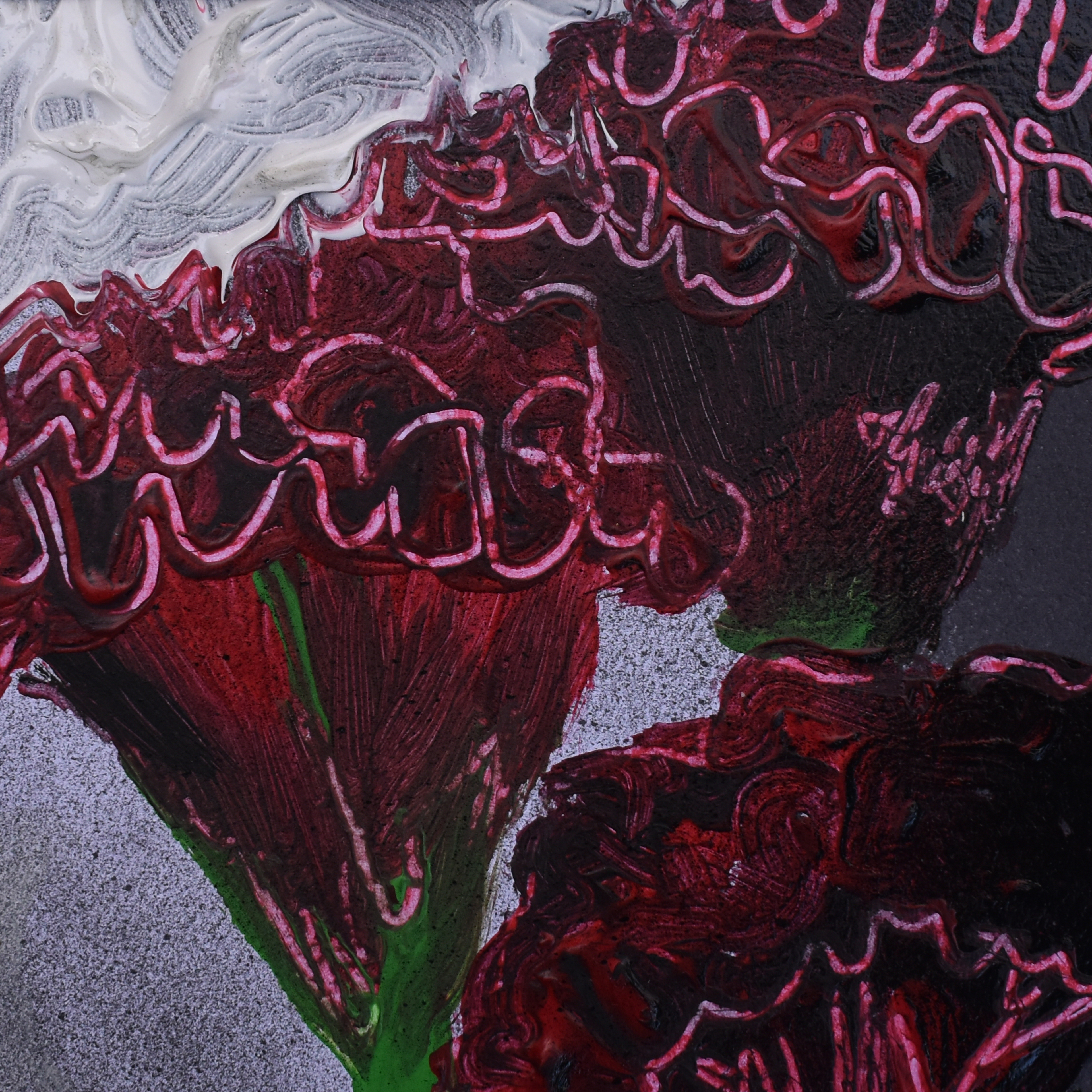 ESTUDIO iii DE LA CRESTA DE GALLO 14 X 14 CMS