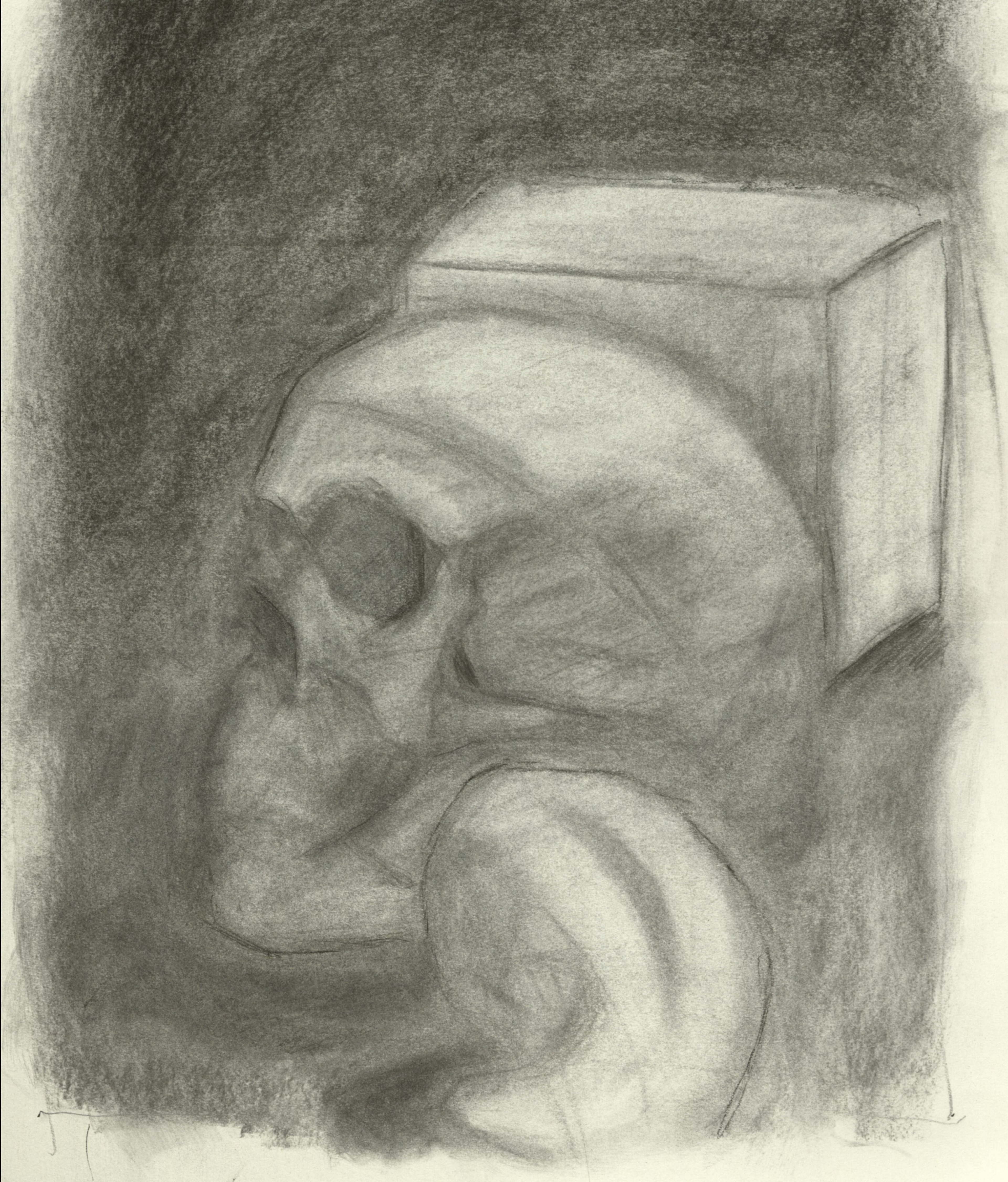 "Skull" 2021